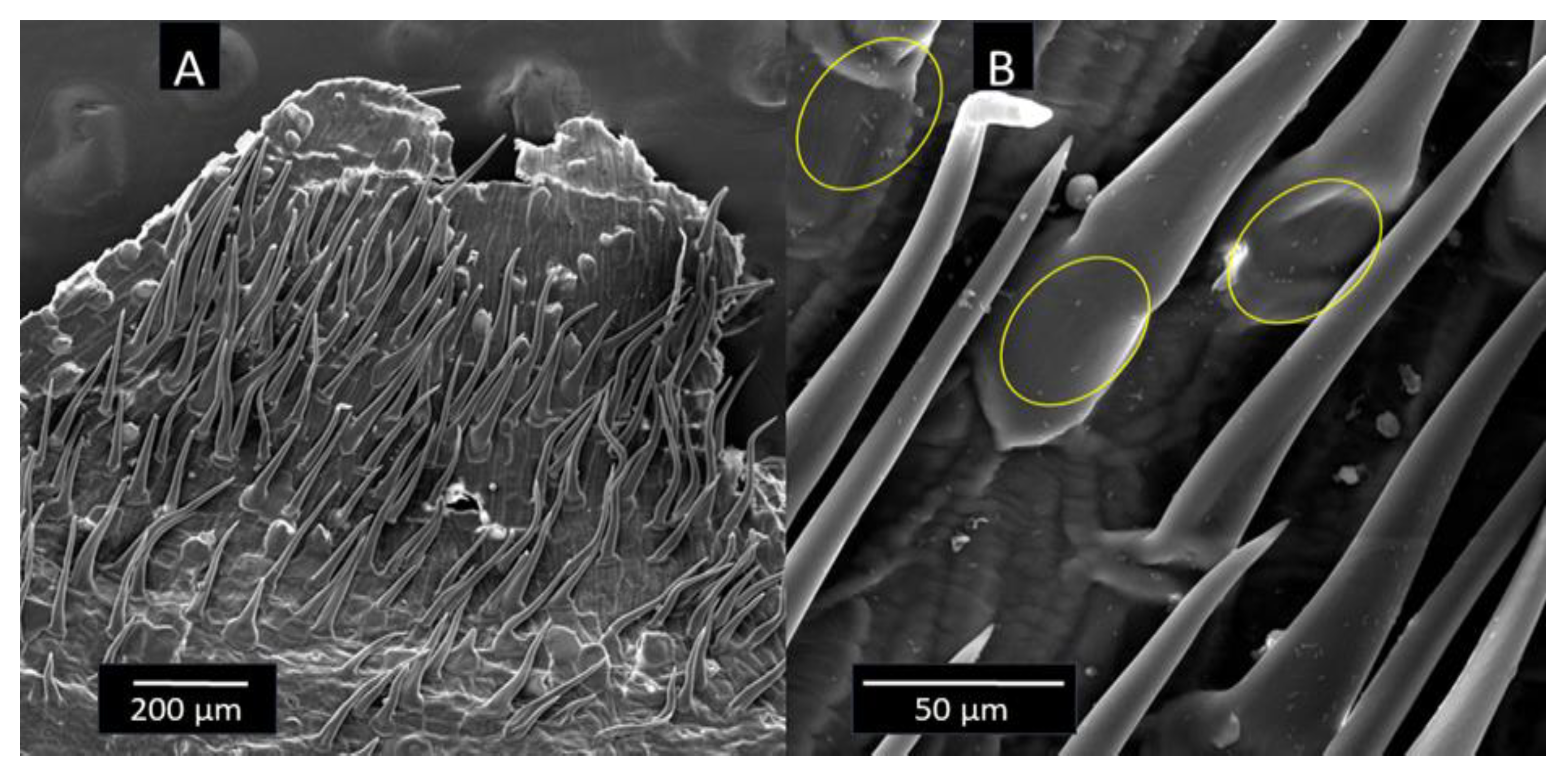 Applsci 14 06883 g004