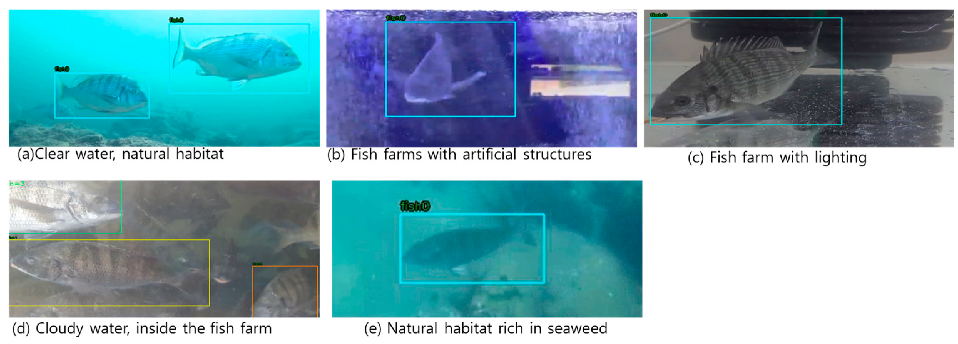 Applsci 14 06888 g005