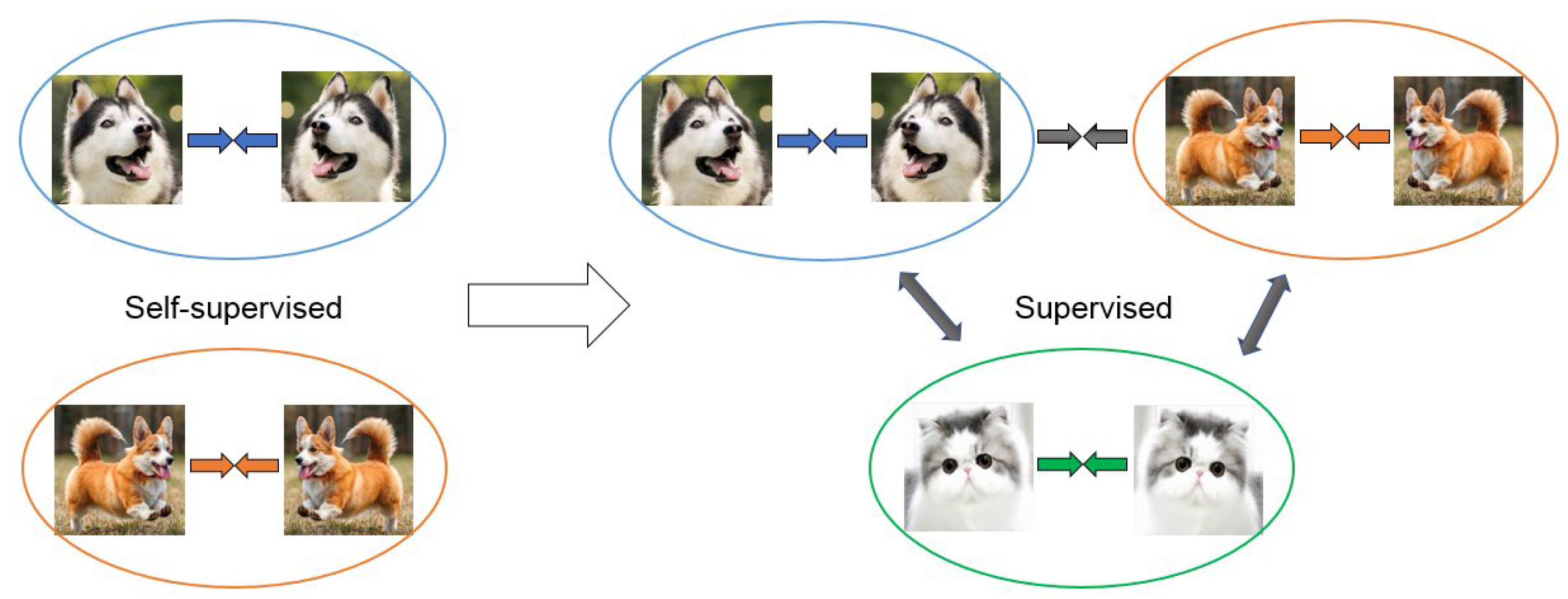 Applsci 14 06893 g003