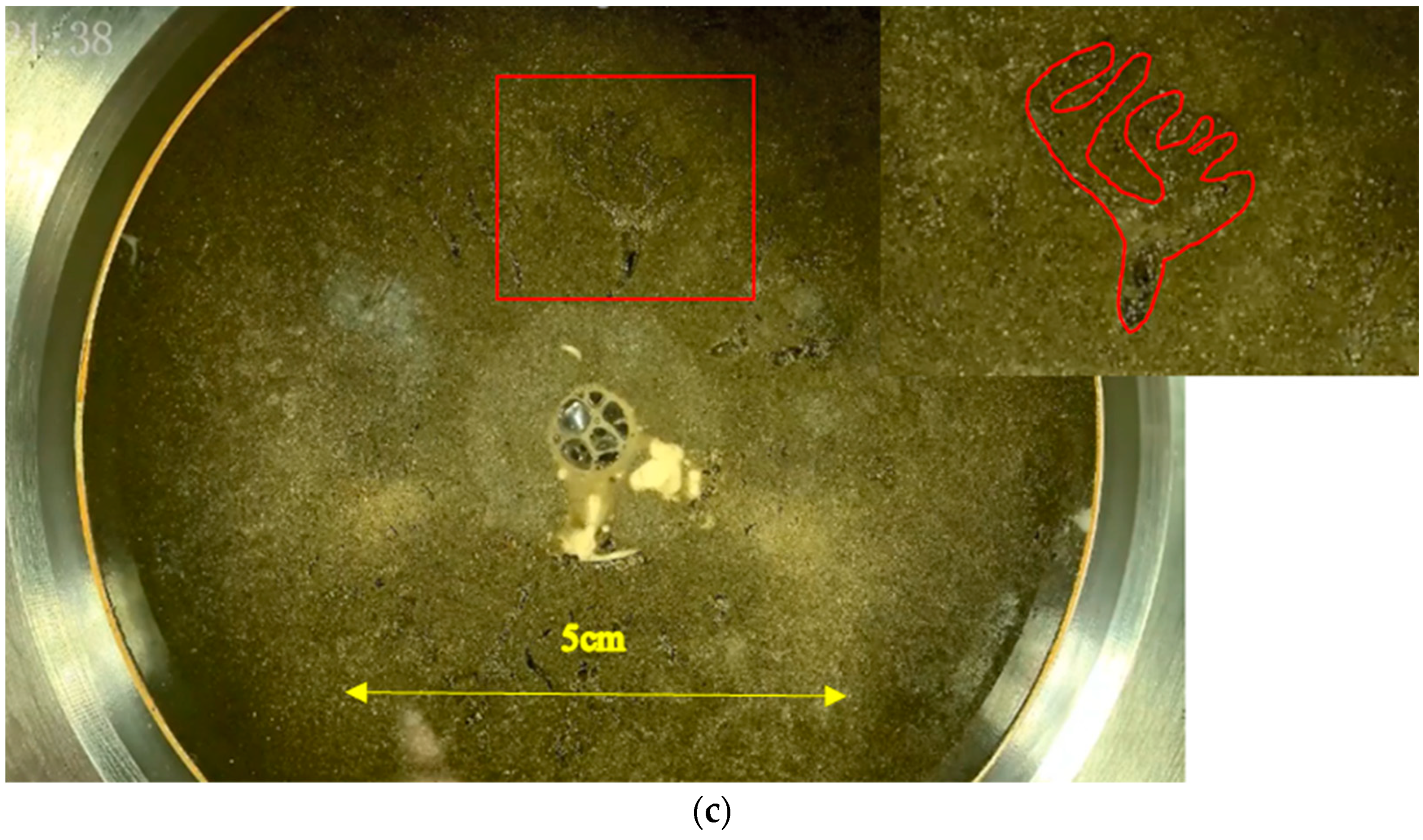 Applsci 14 06906 g012b