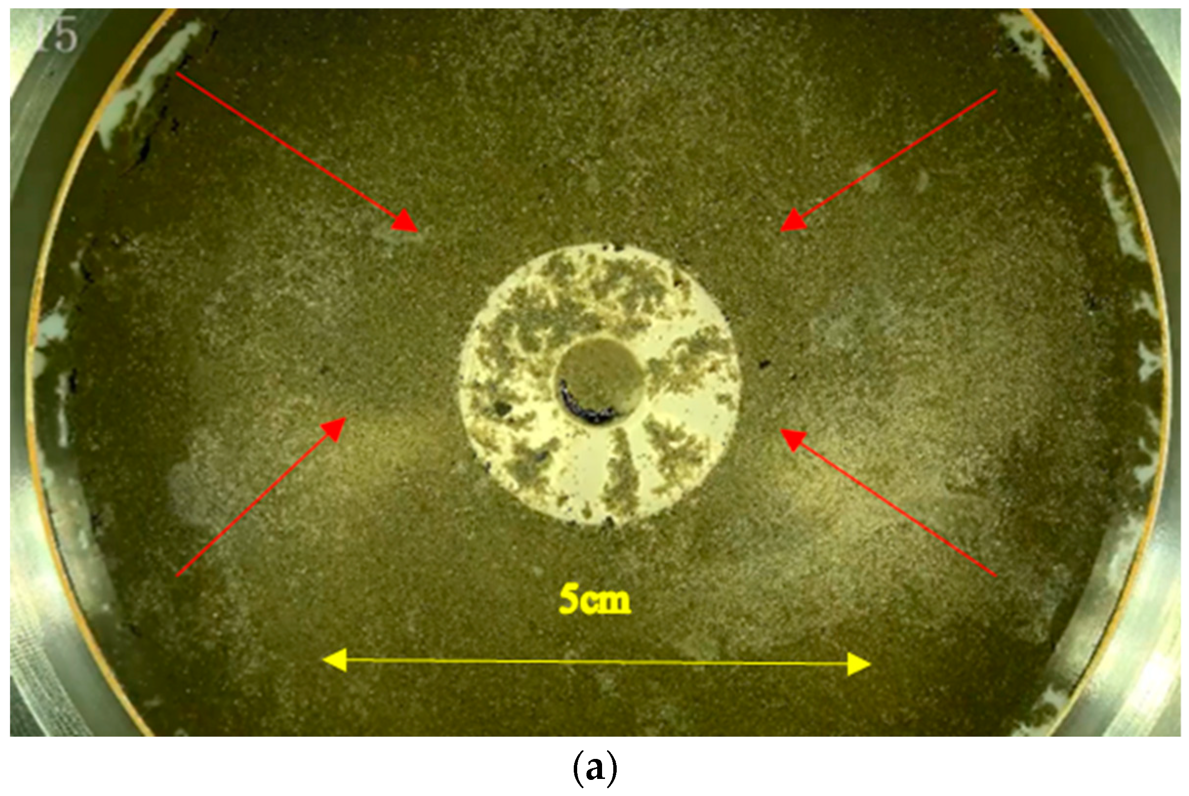 Applsci 14 06906 g013a