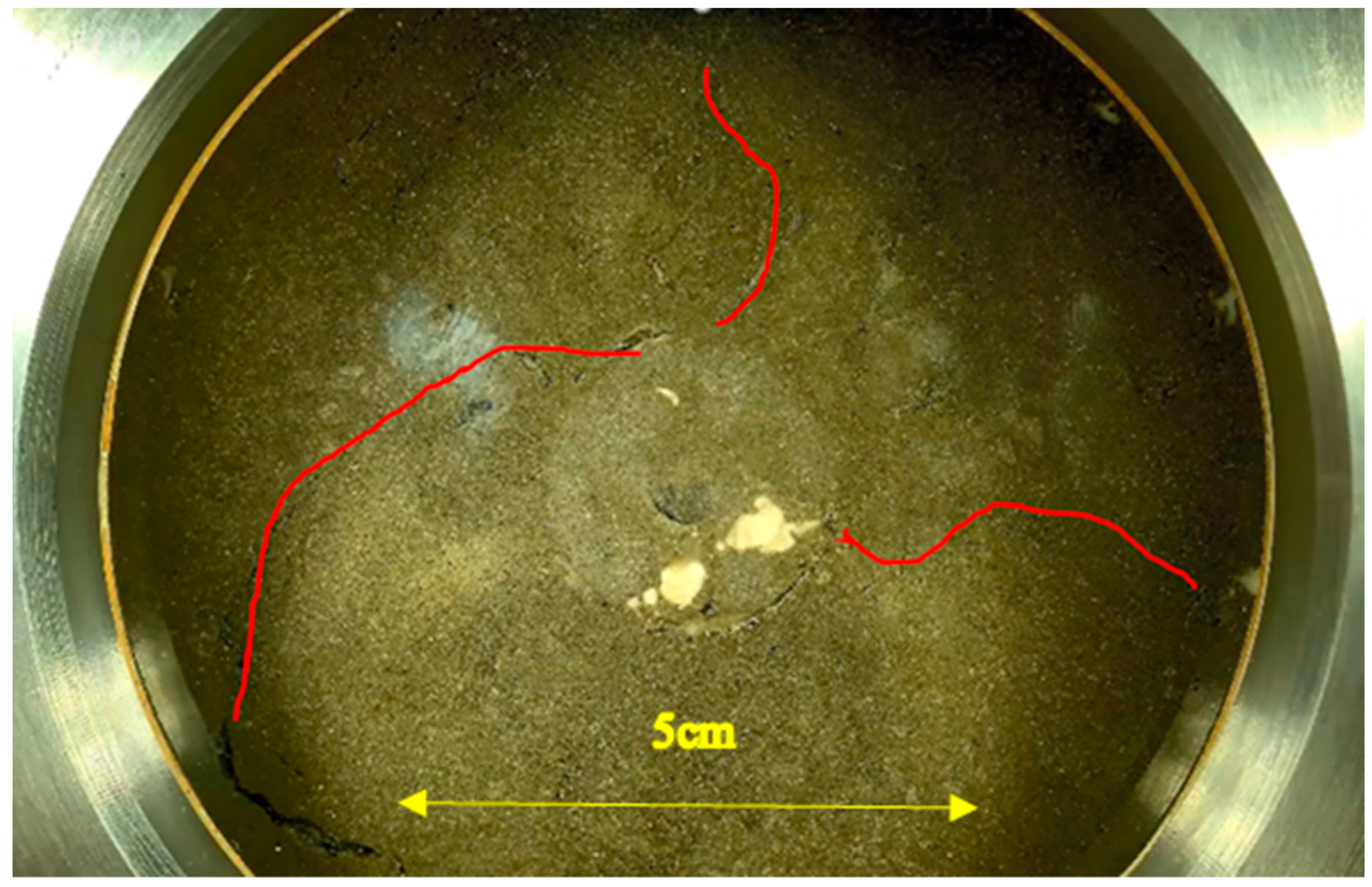 Applsci 14 06906 g014