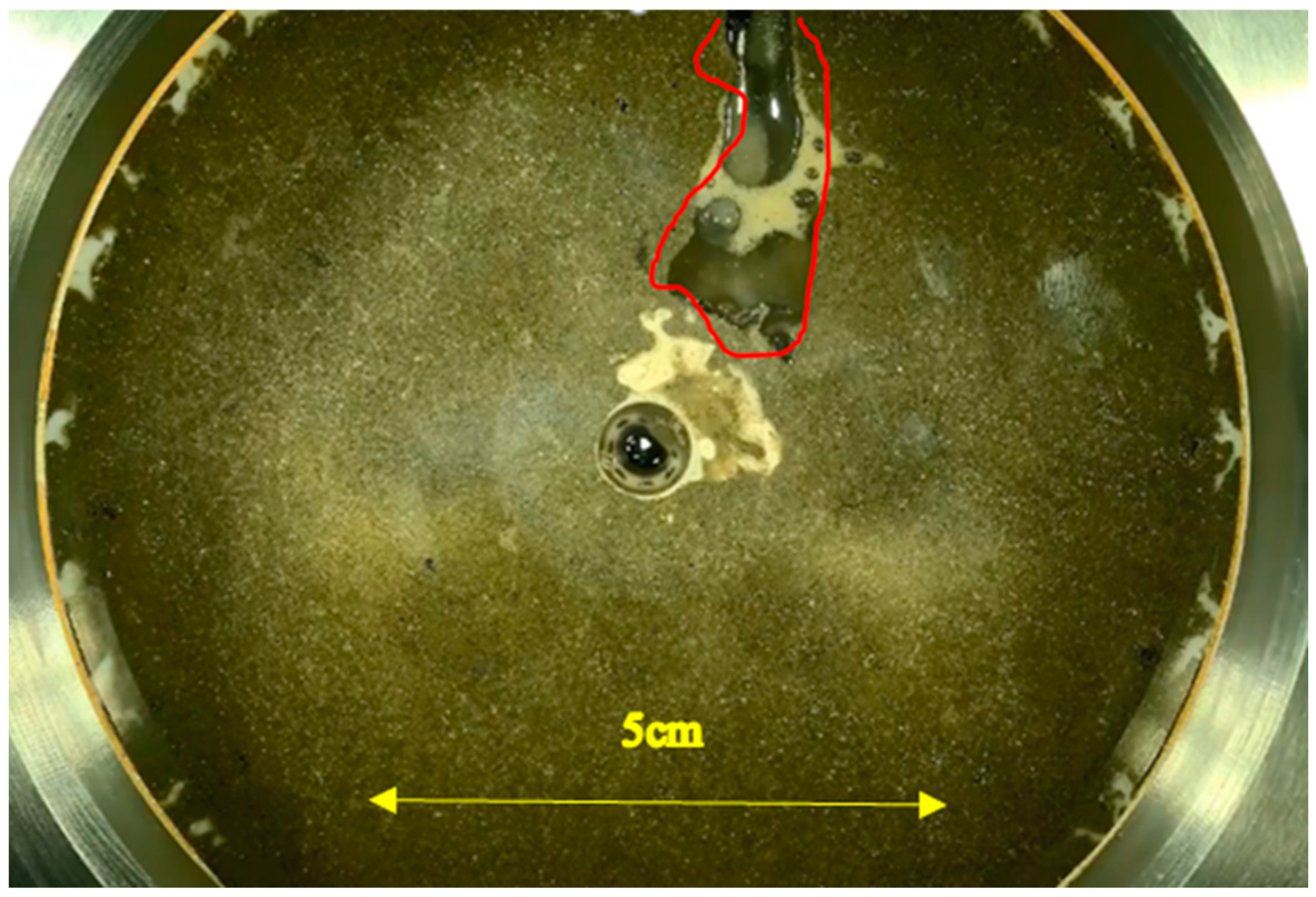 Applsci 14 06906 g015