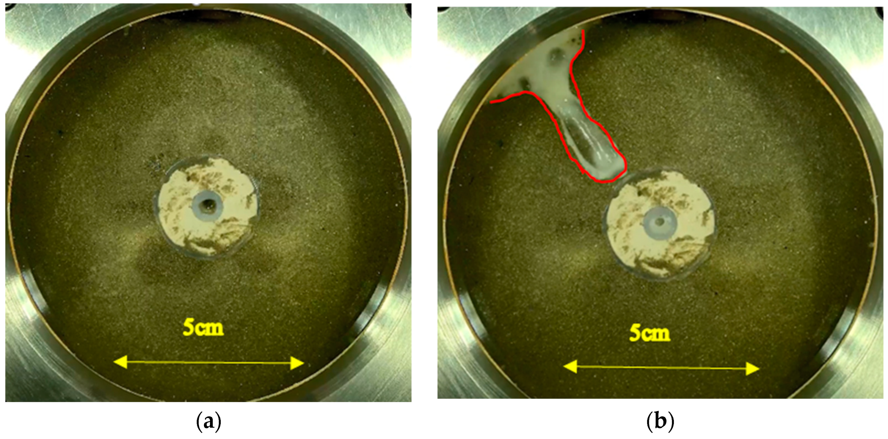 Applsci 14 06906 g019