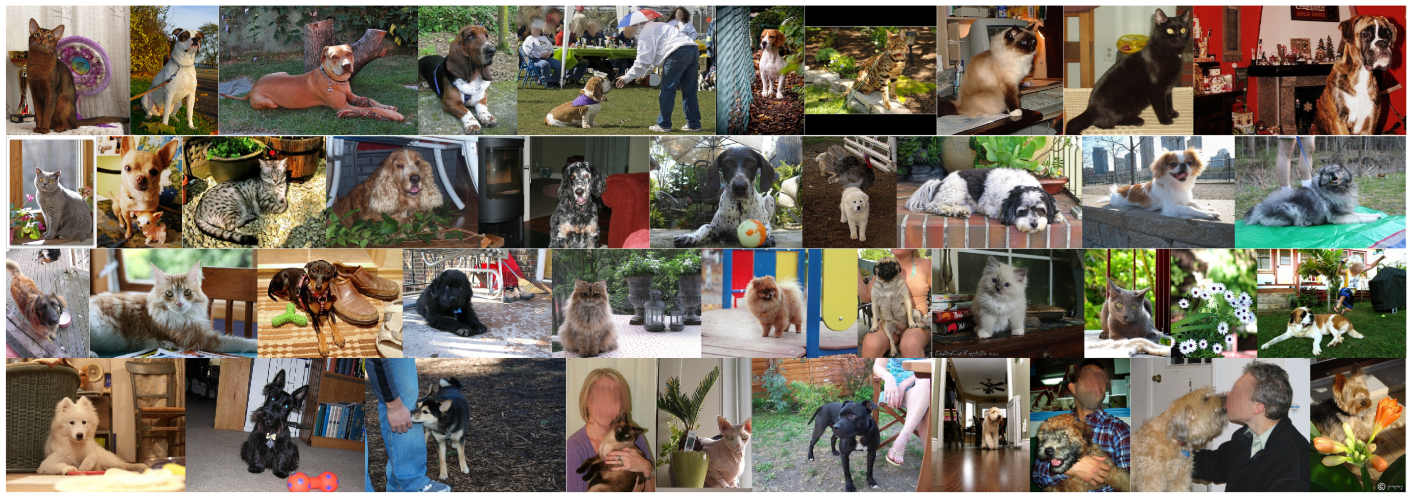 Applsci 14 06914 g001