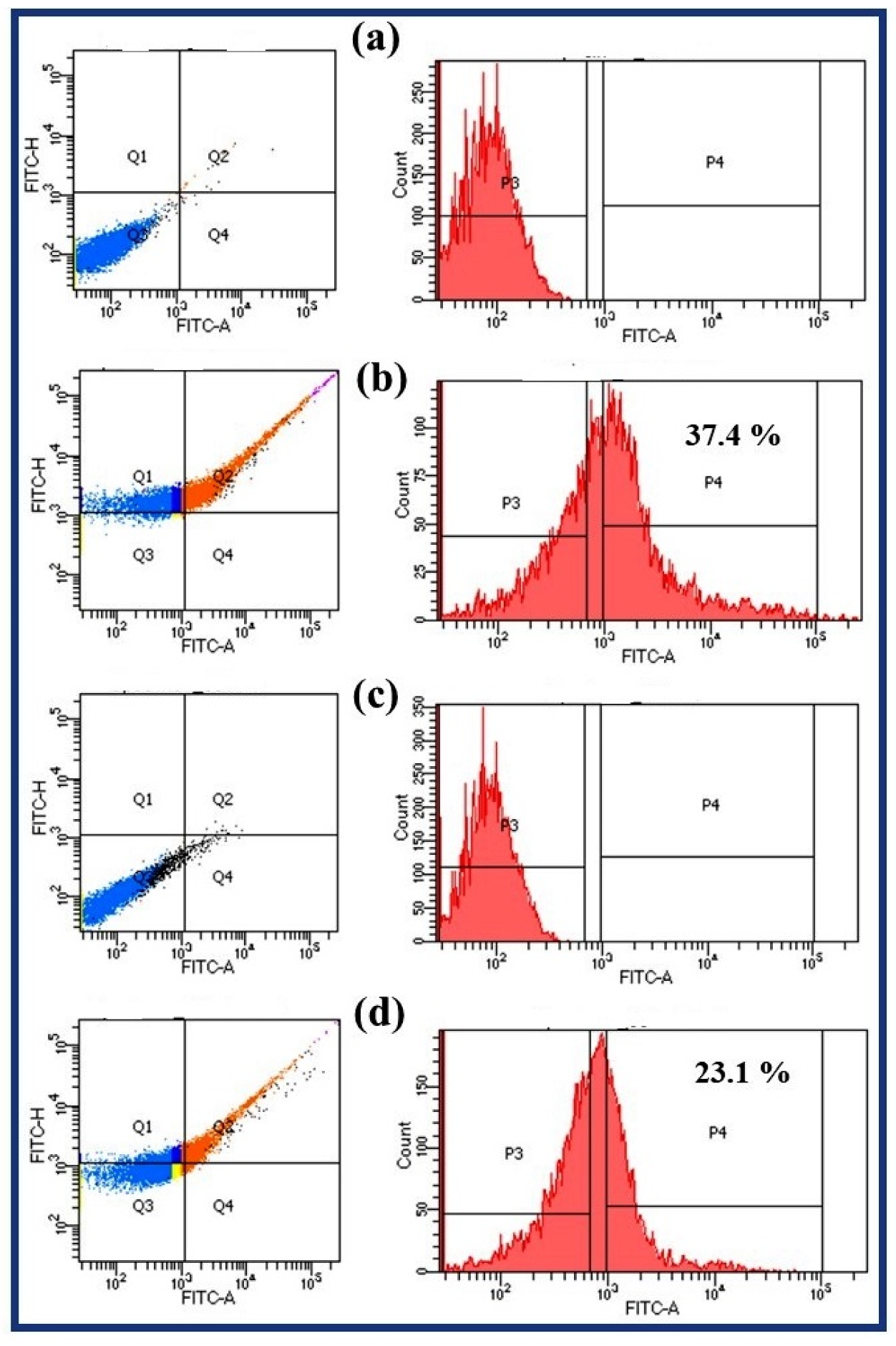 Applsci 14 06926 g007