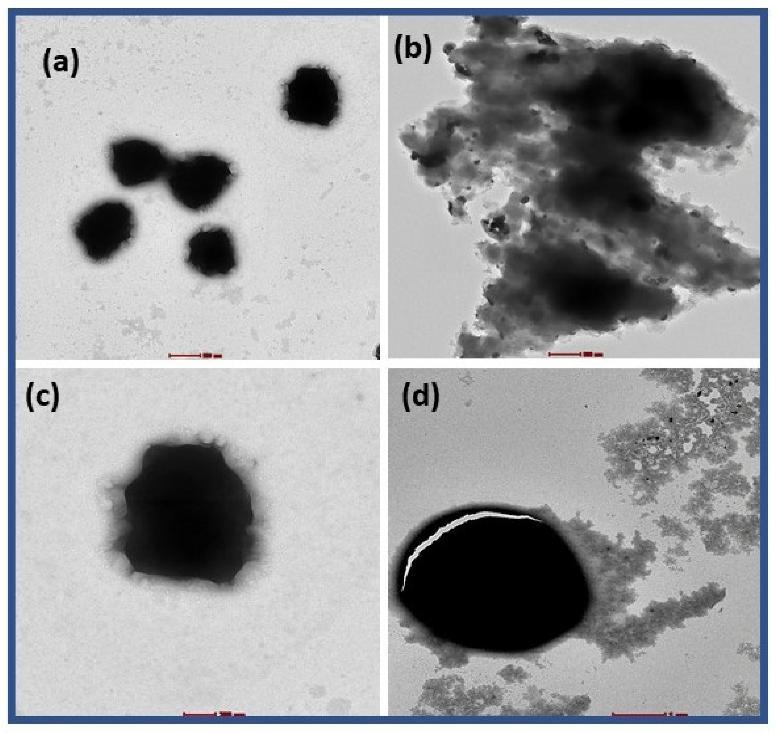 Applsci 14 06926 g009