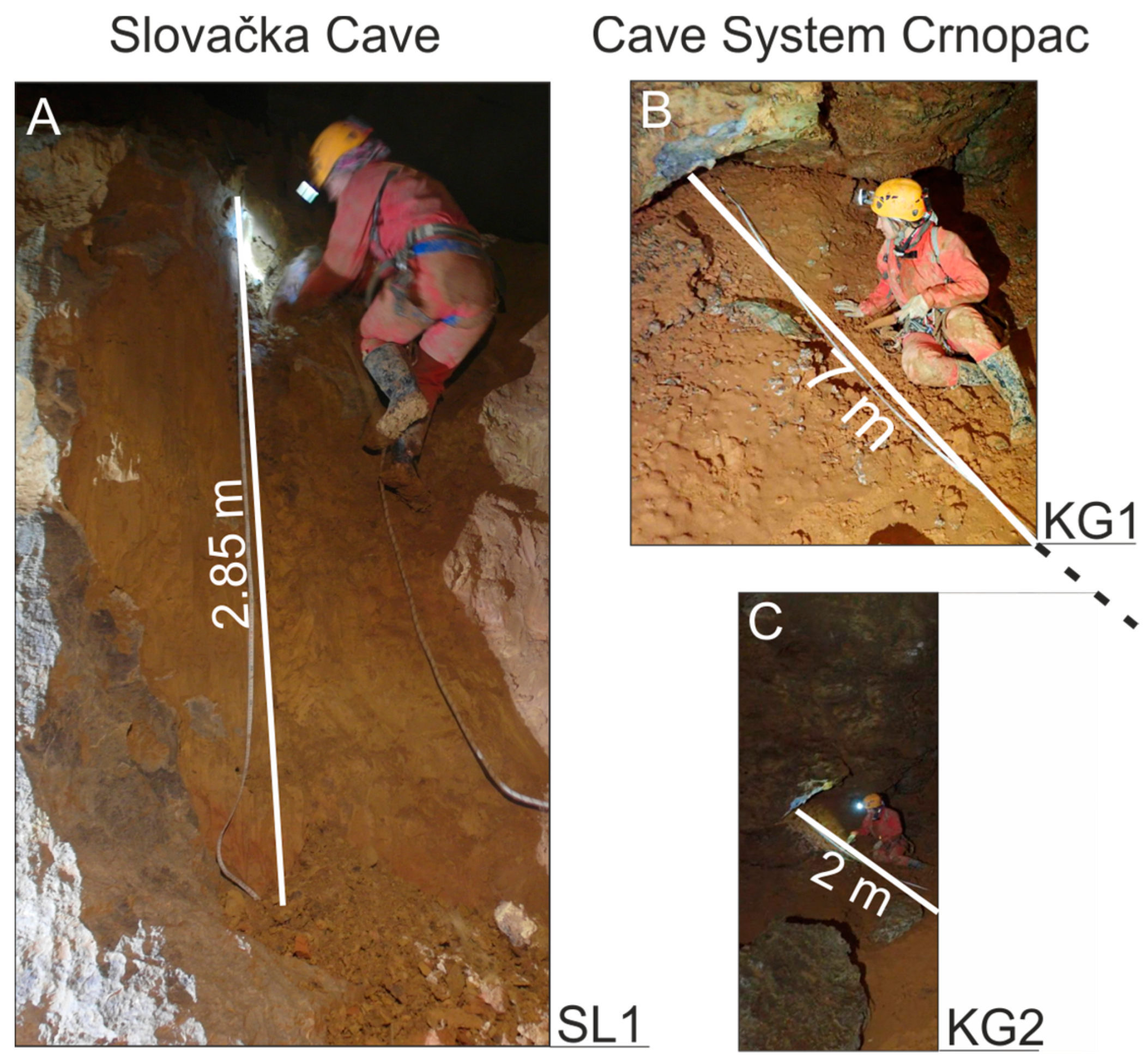 Applsci 14 06973 g003 Applsci 14 06973 g003