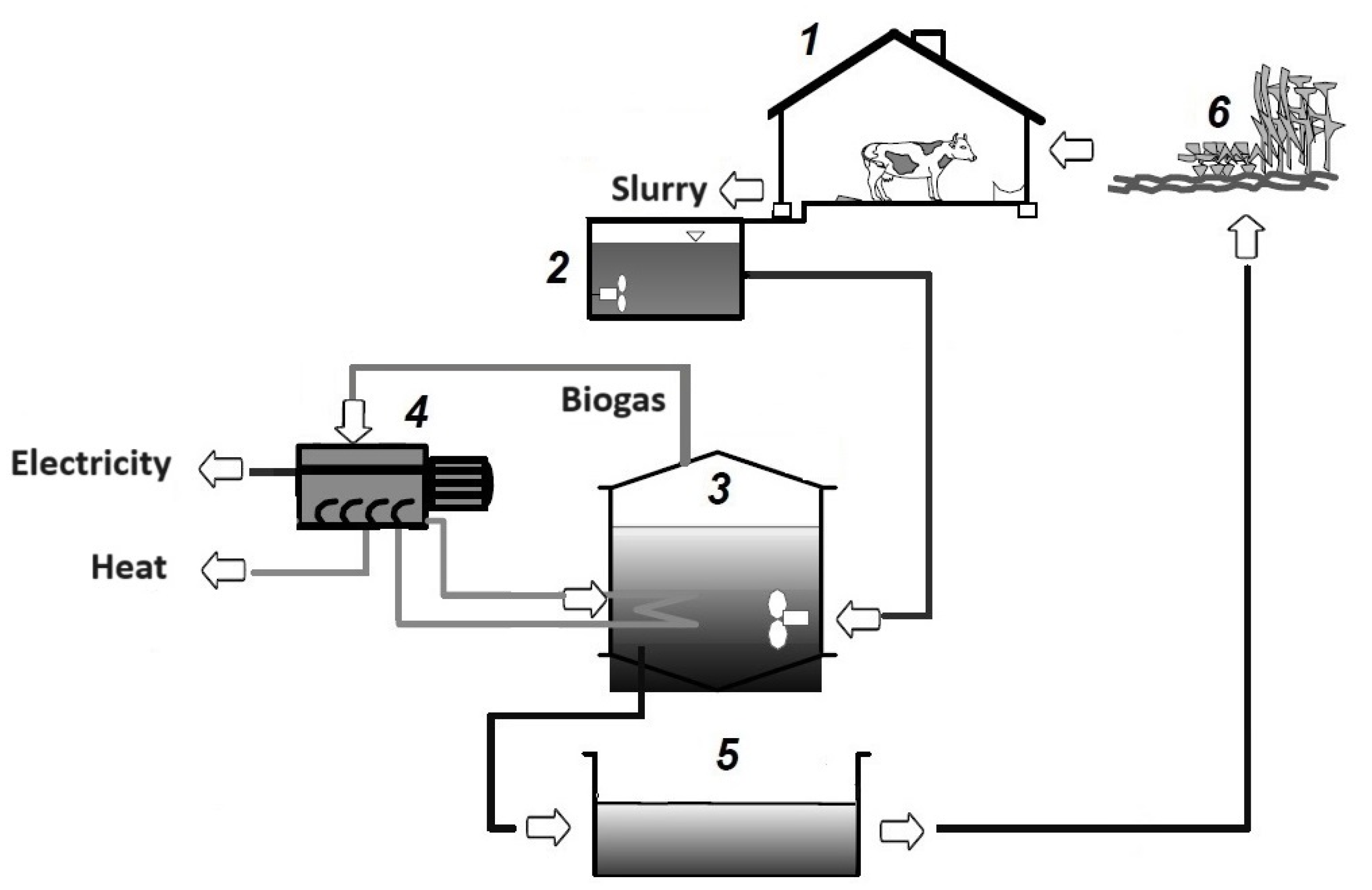 Applsci 14 07003 g001