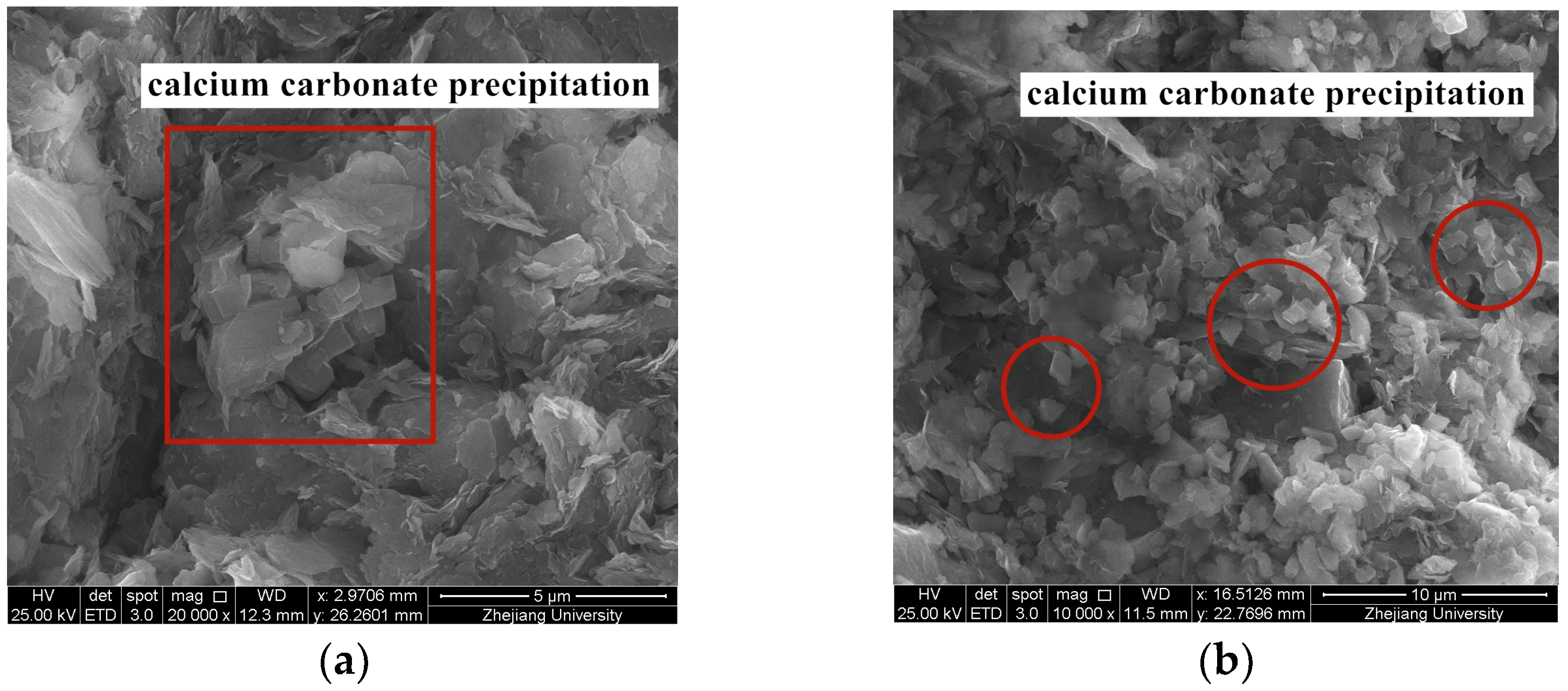 Applsci 14 07021 g007