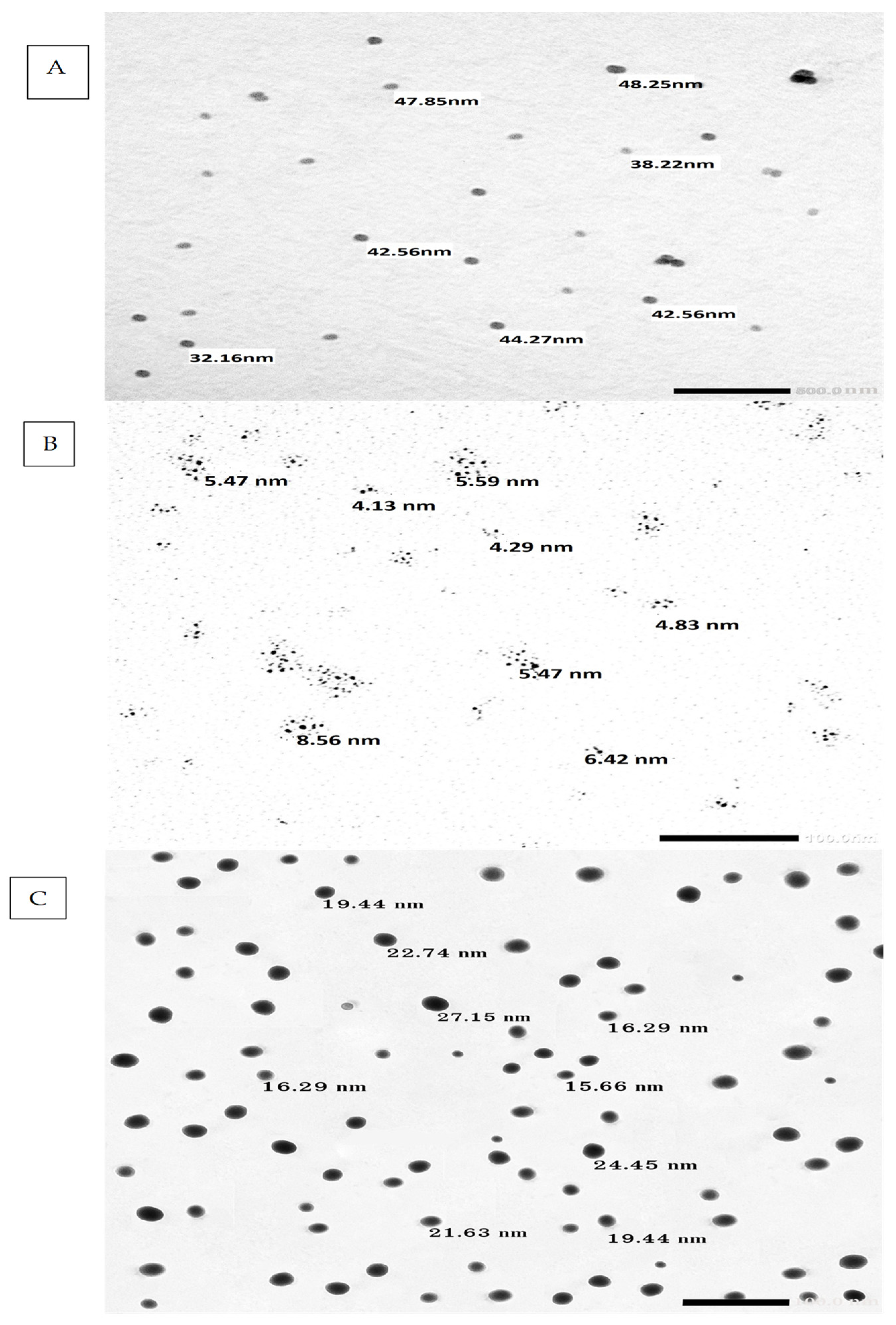 Applsci 14 07069 g005 Applsci 14 07069 g005