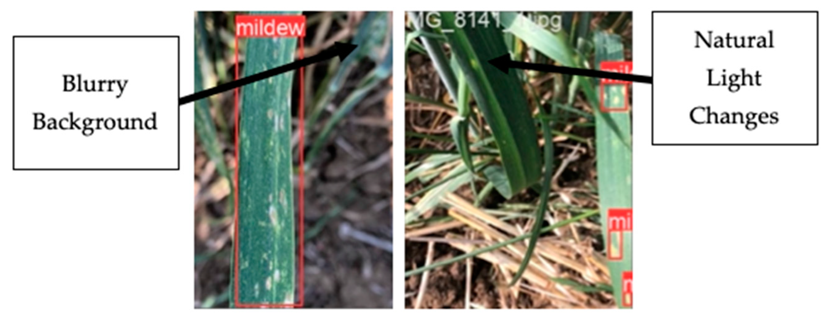 Applsci 14 07073 g010