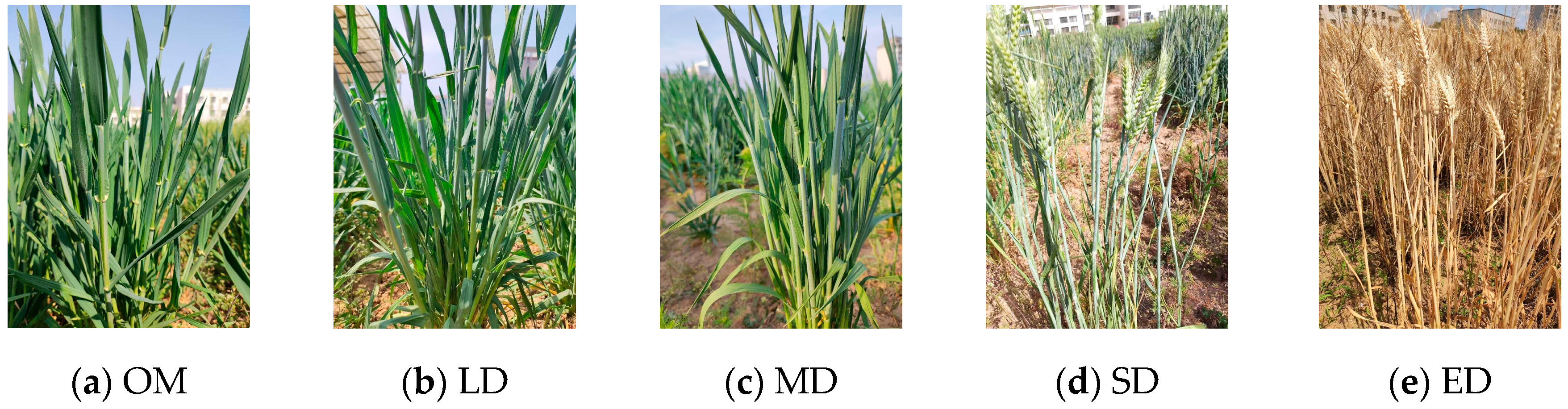 Applsci 14 07078 g001