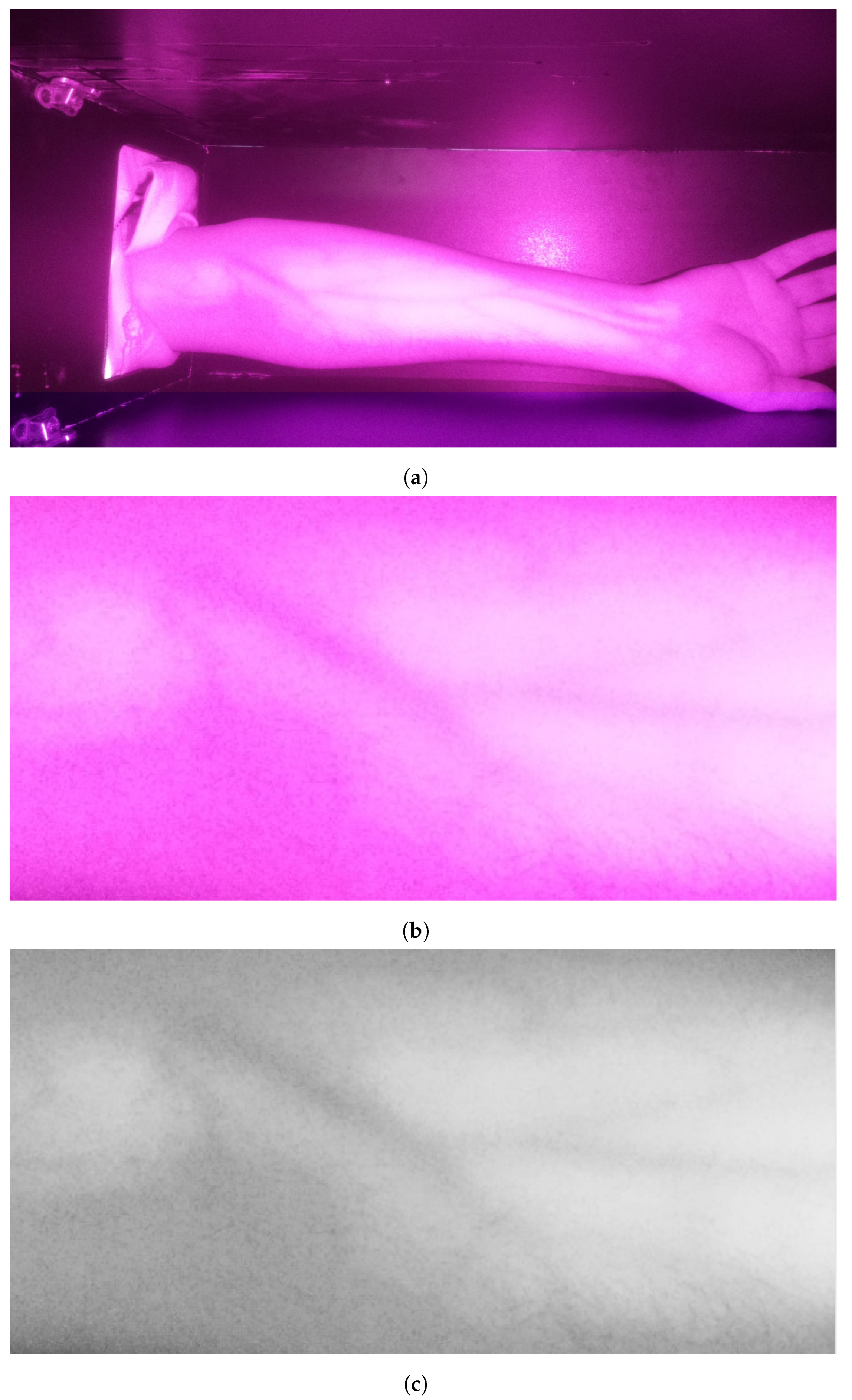 Applsci 14 07115 g003