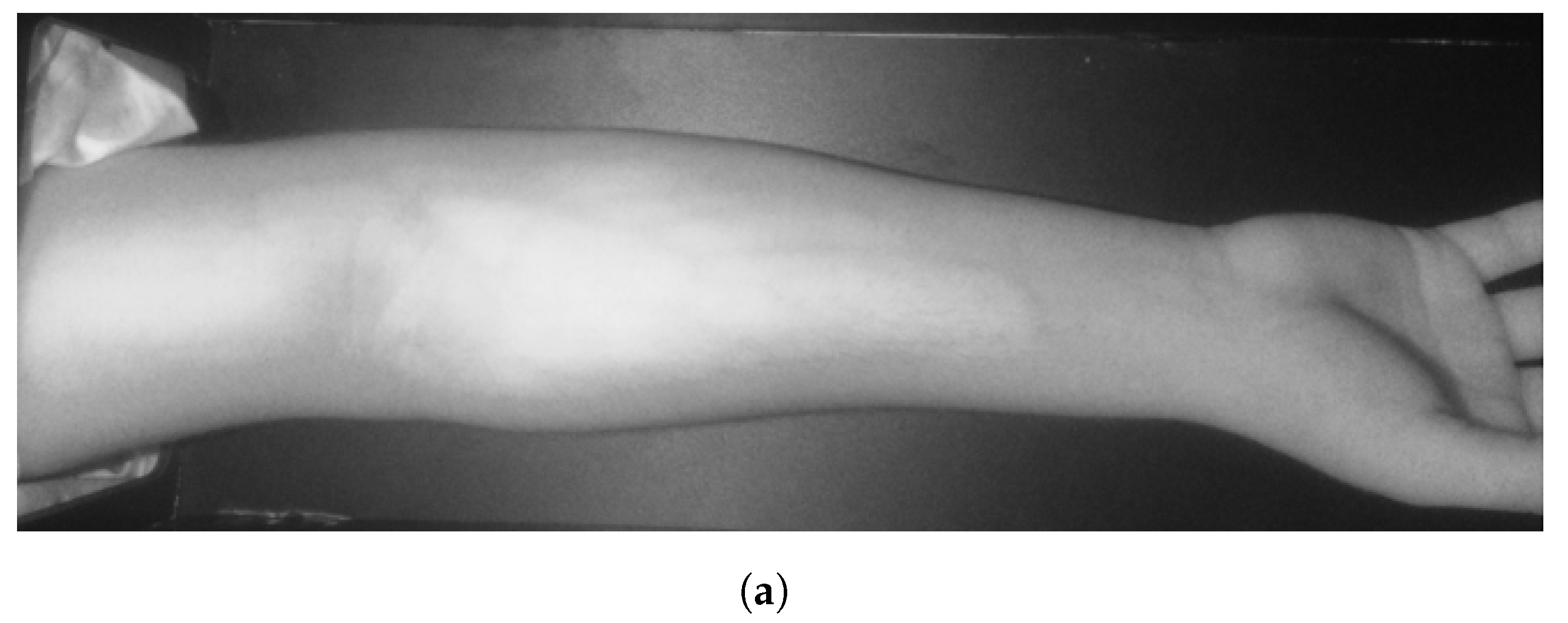 Applsci 14 07115 g014a