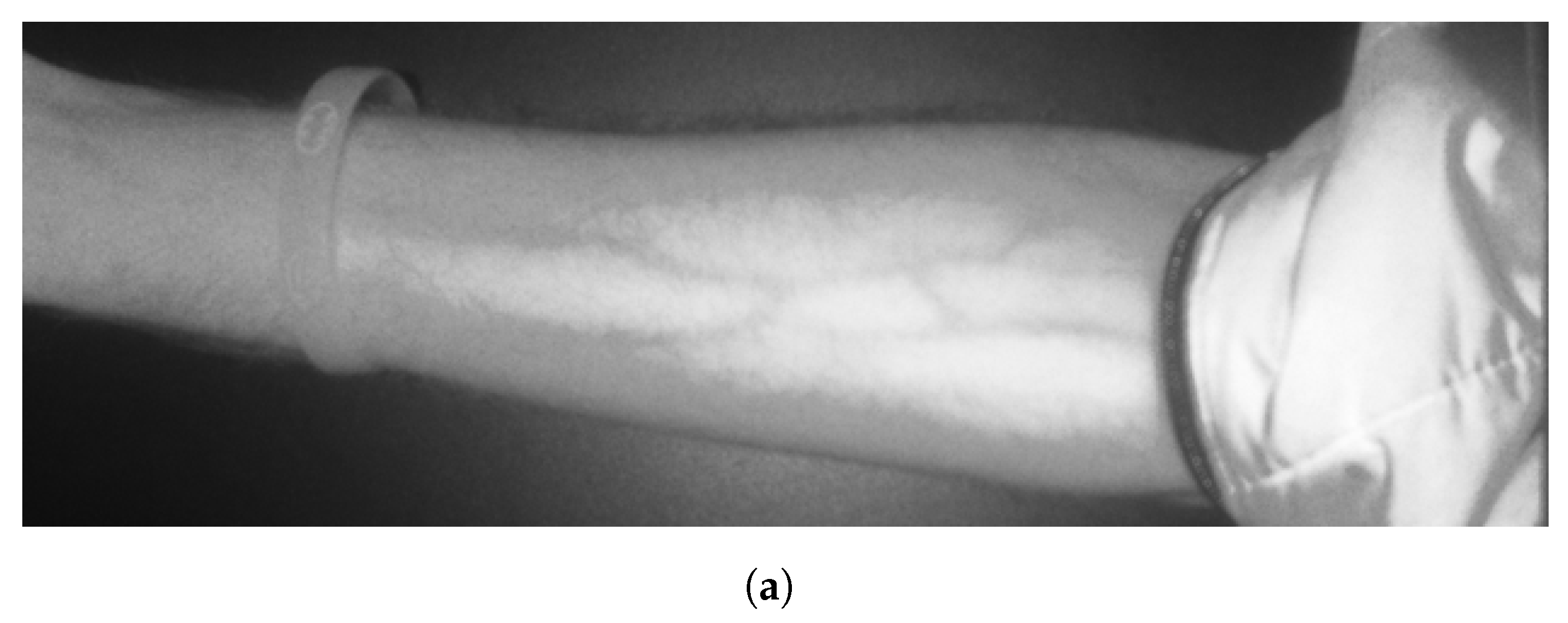 Applsci 14 07115 g016a