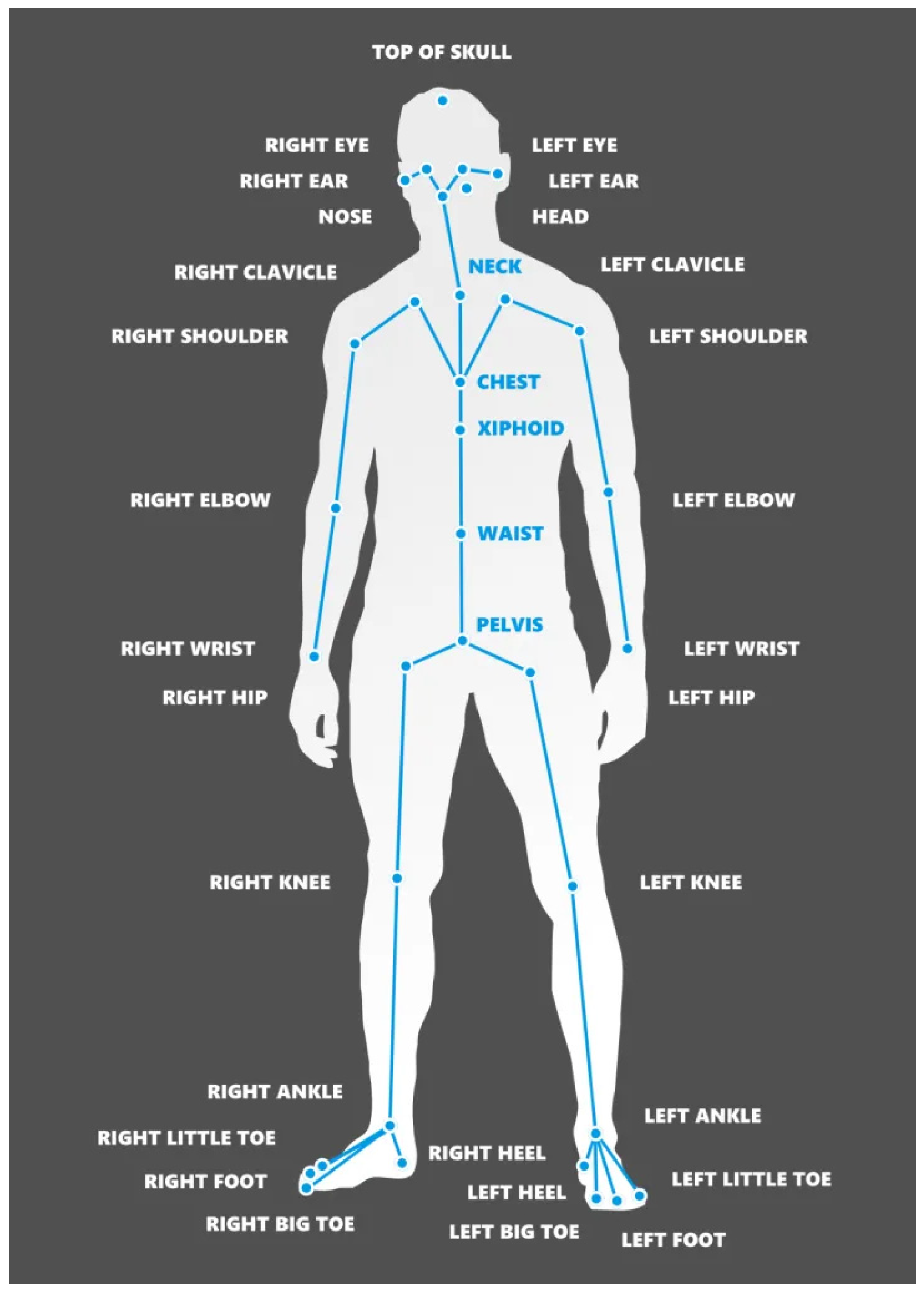 Applsci 14 07140 g003