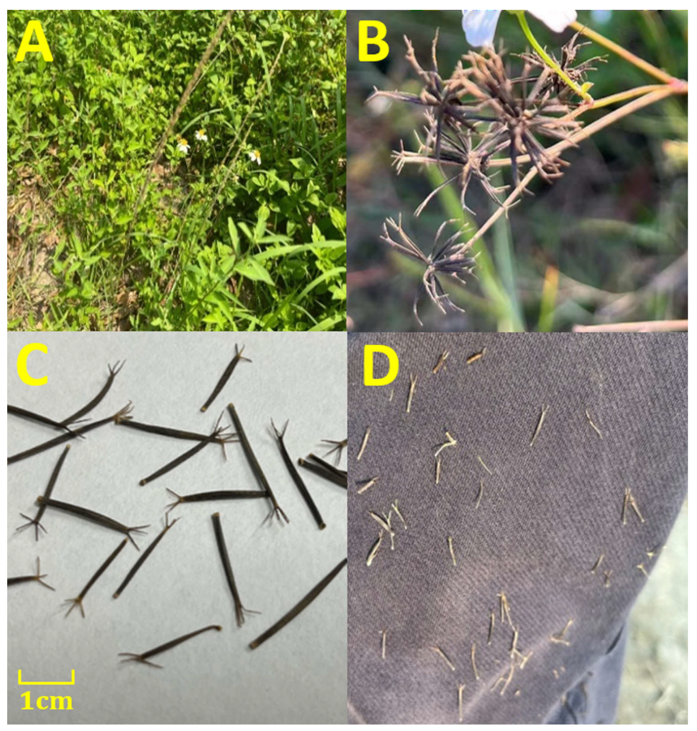 Applsci 14 07144 g003