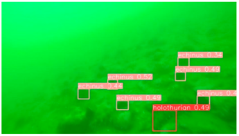 Applsci 14 07162 i001