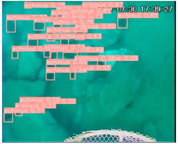 Applsci 14 07162 i003