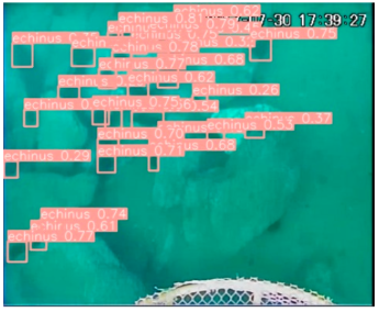 Applsci 14 07162 i004