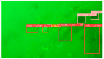 Applsci 14 07162 i005