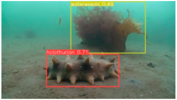 Applsci 14 07162 i010