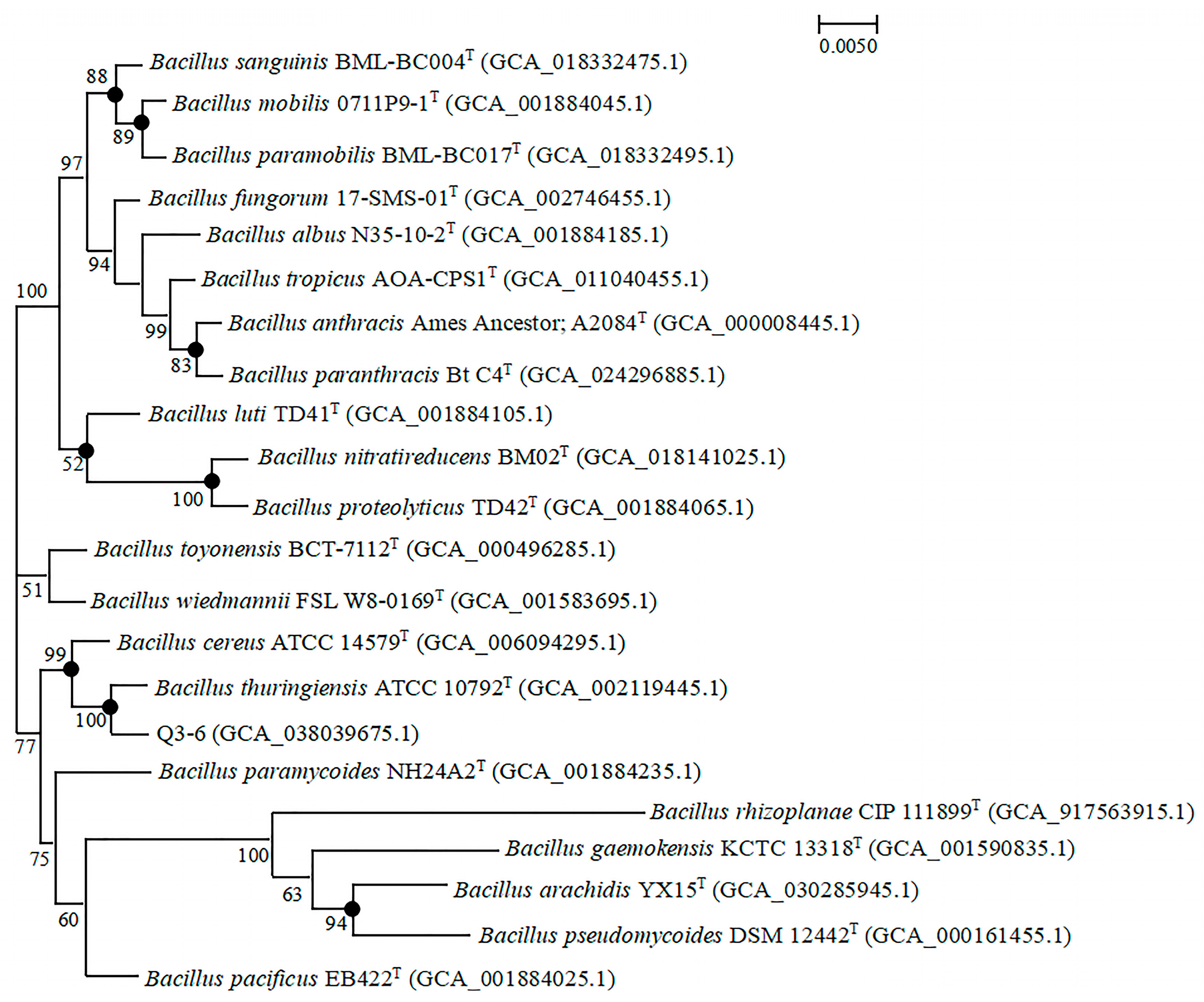 Applsci 14 07181 g001 Applsci 14 07181 g001