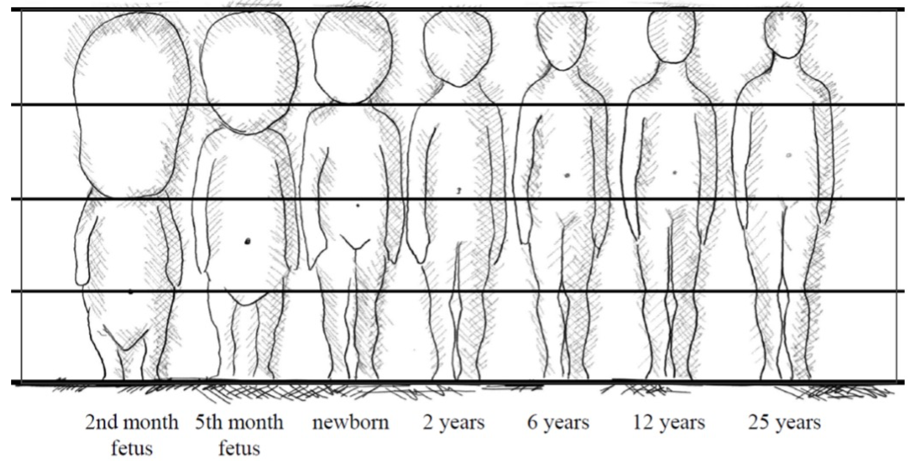 Applsci 14 07185 g001