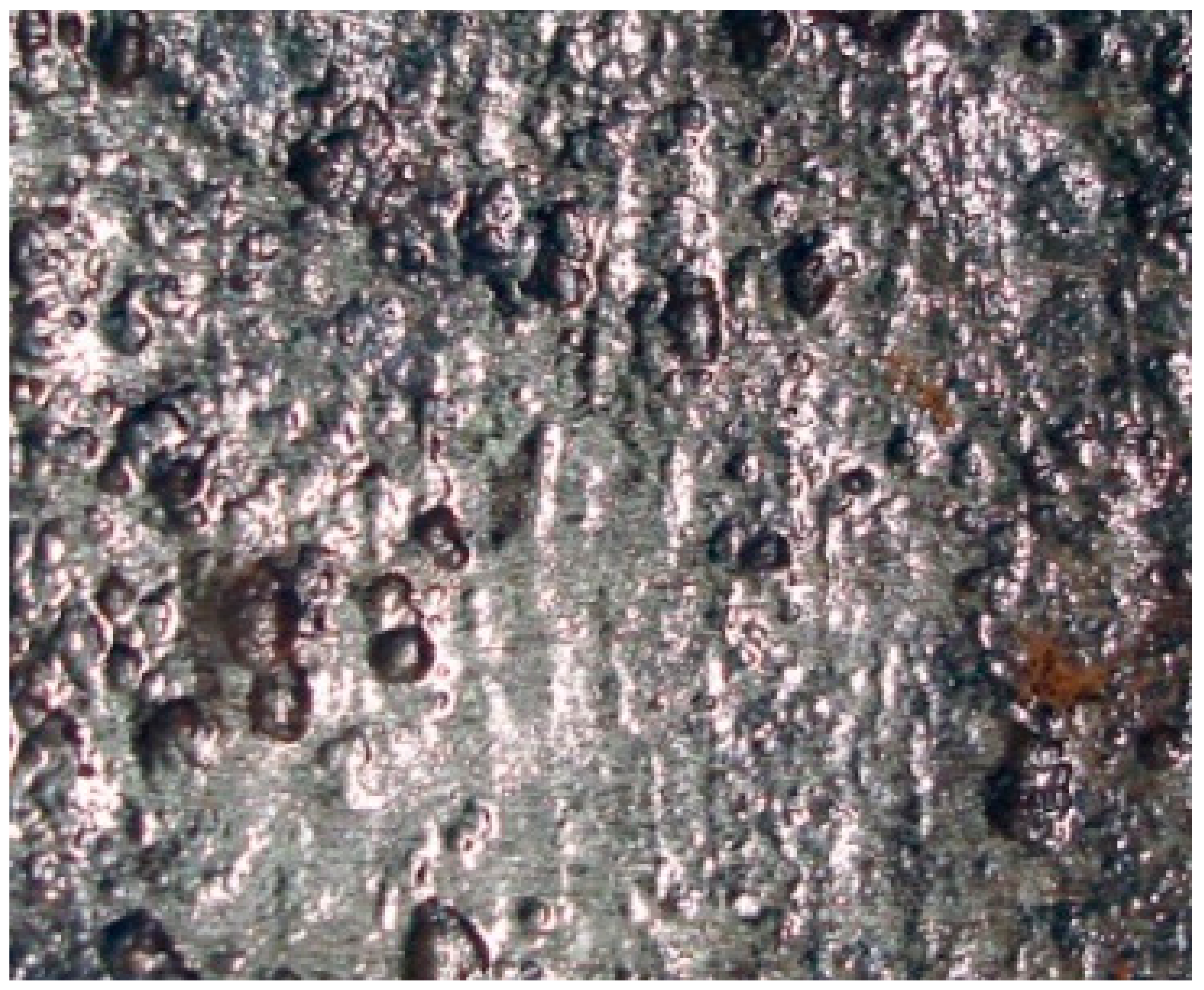 Applsci 14 07189 g004