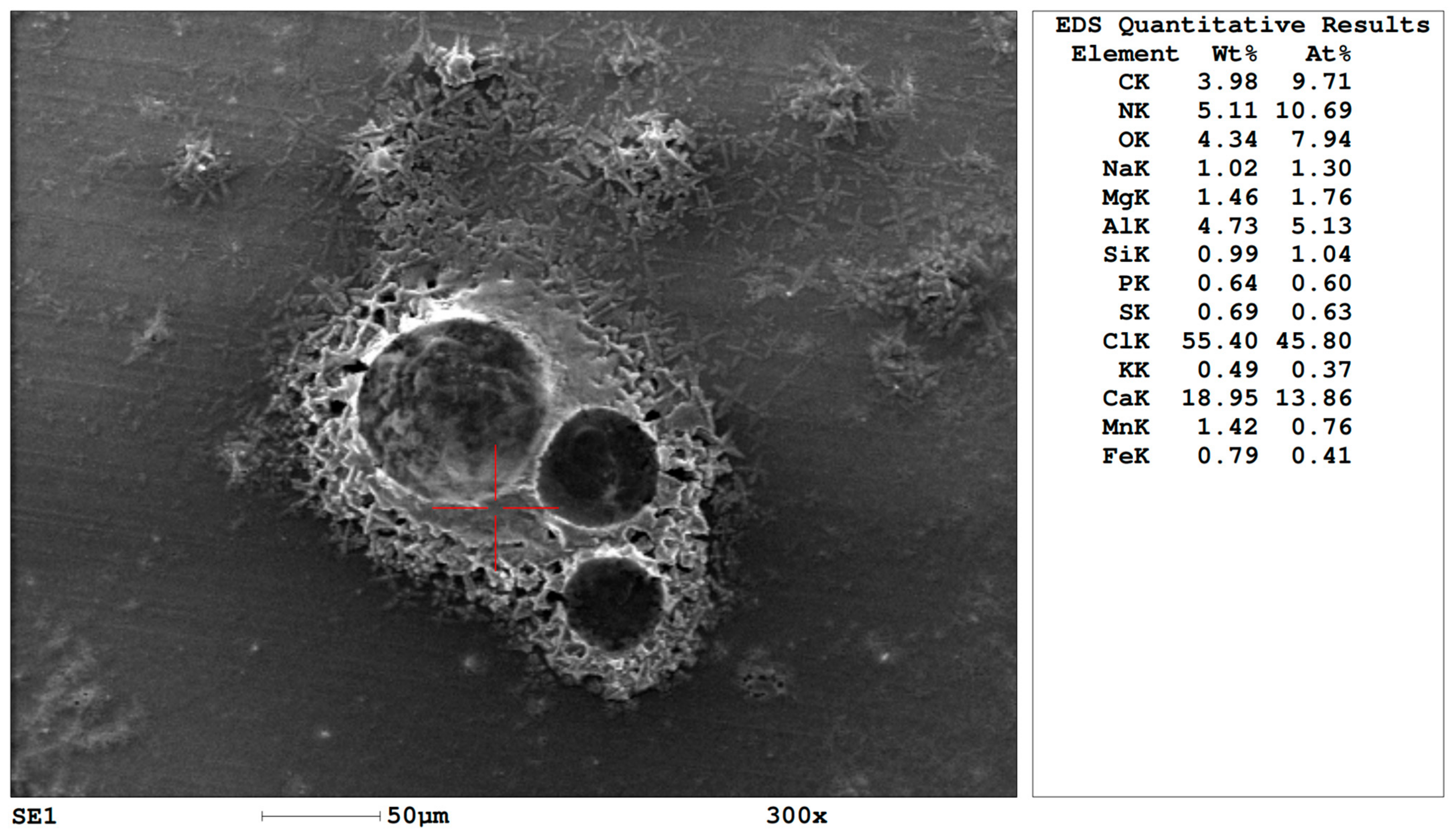 Applsci 14 07189 g005