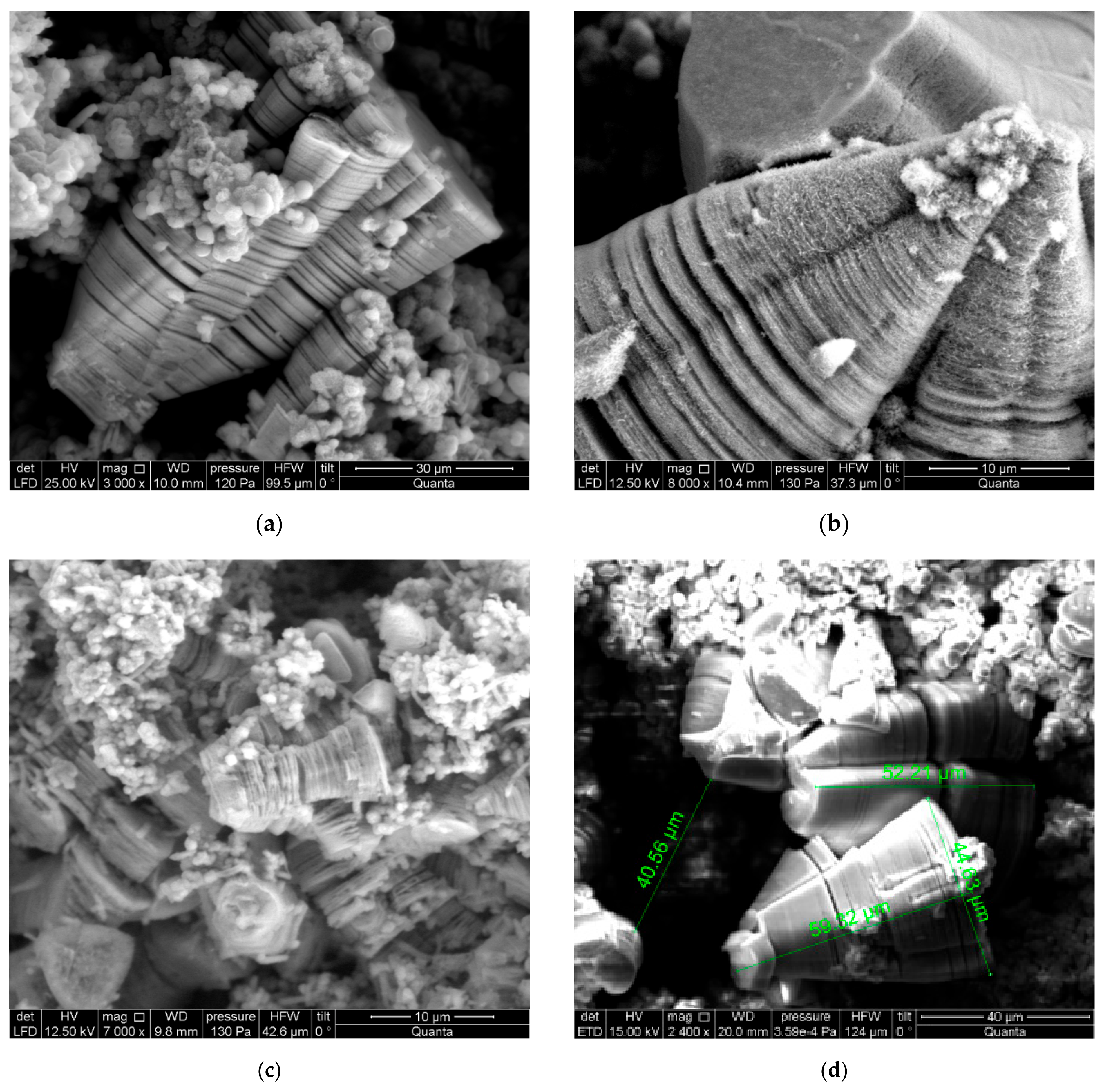 Applsci 14 07189 g006