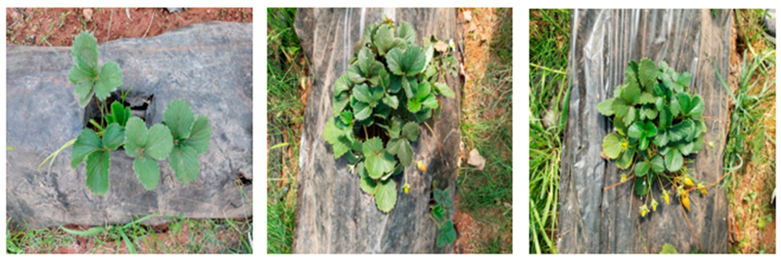 Applsci 14 07195 g006