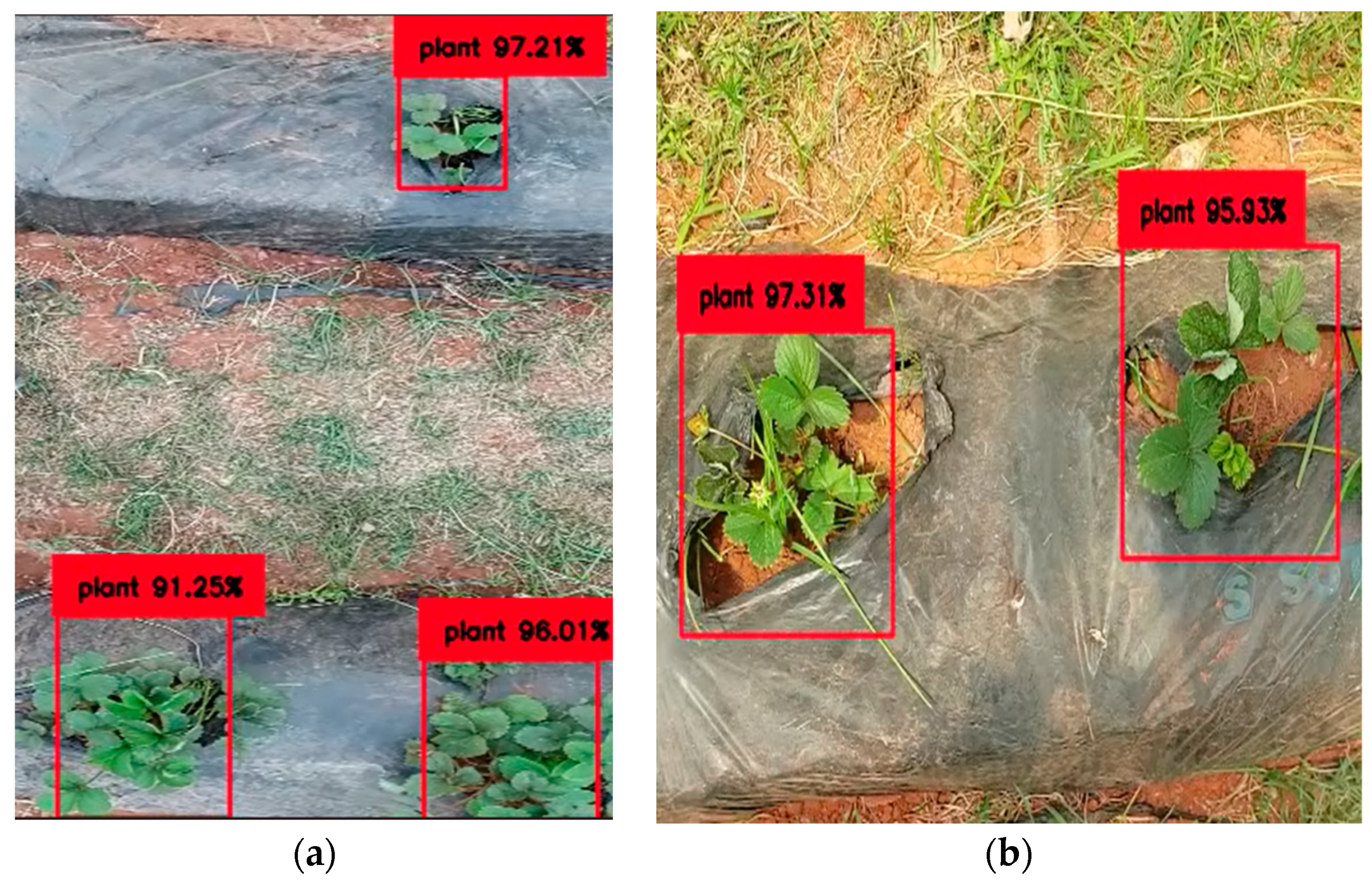 Applsci 14 07195 g008