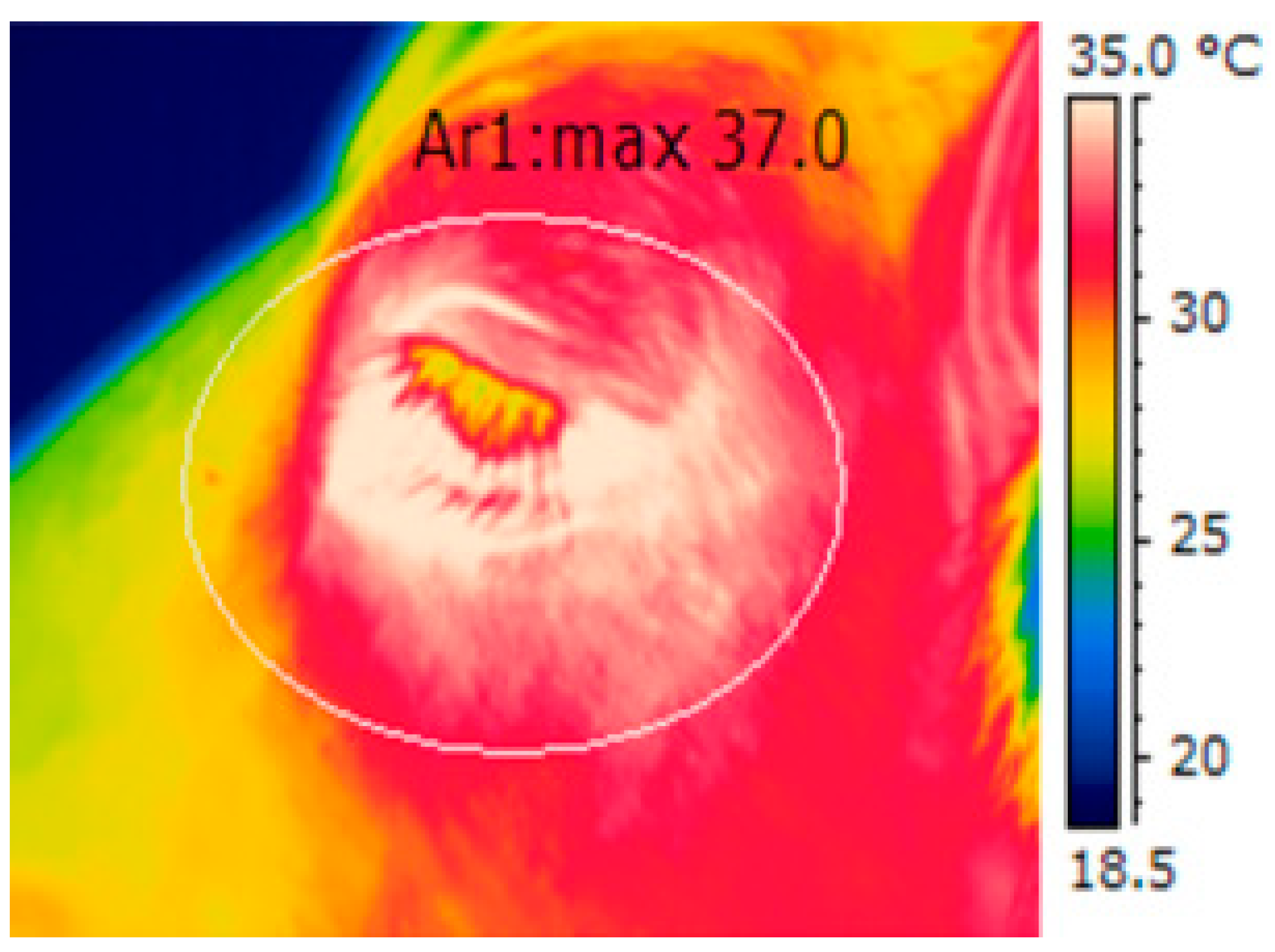 Applsci 14 07205 g001 Applsci 14 07205 g001