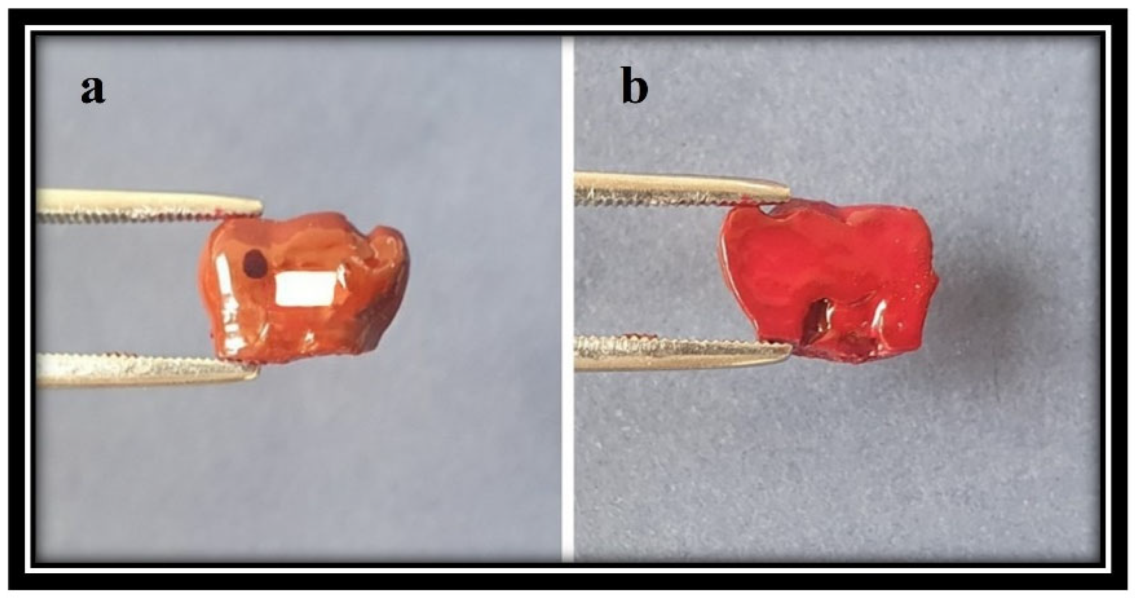 Applsci 14 07232 g002 Applsci 14 07232 g002