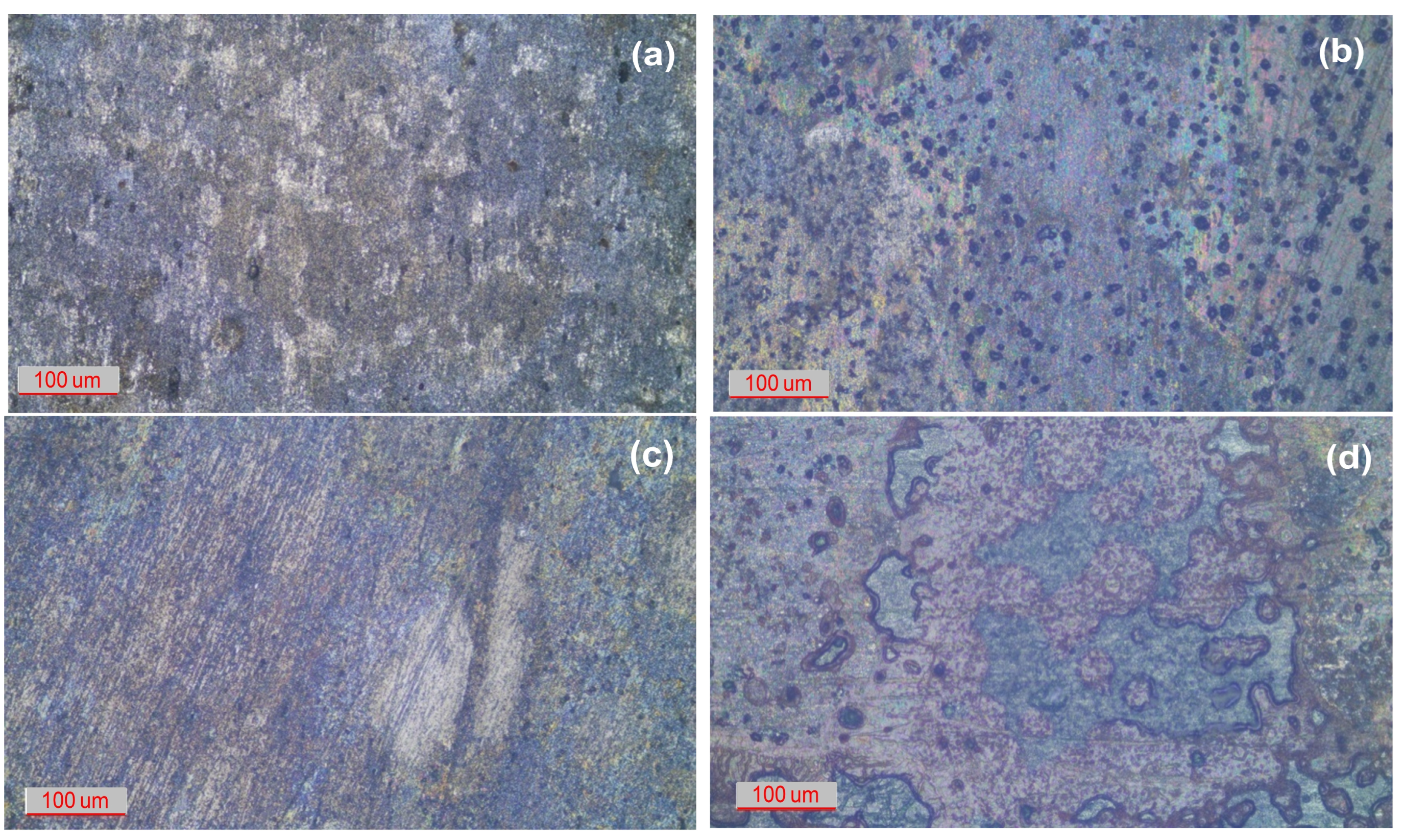 Applsci 14 07240 g006