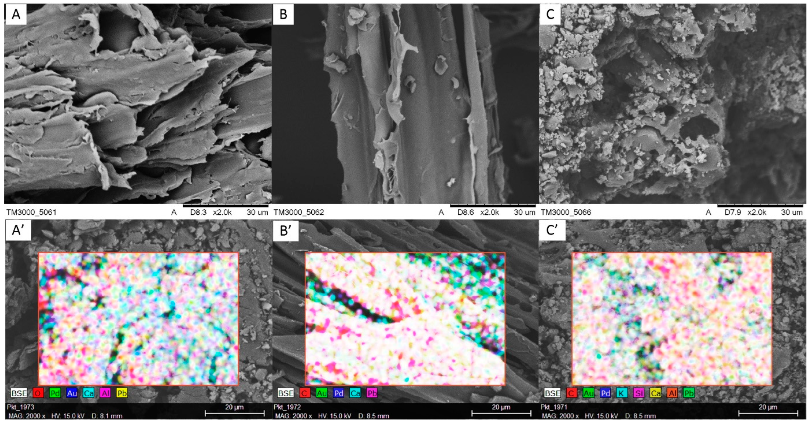 Applsci 14 07241 g002