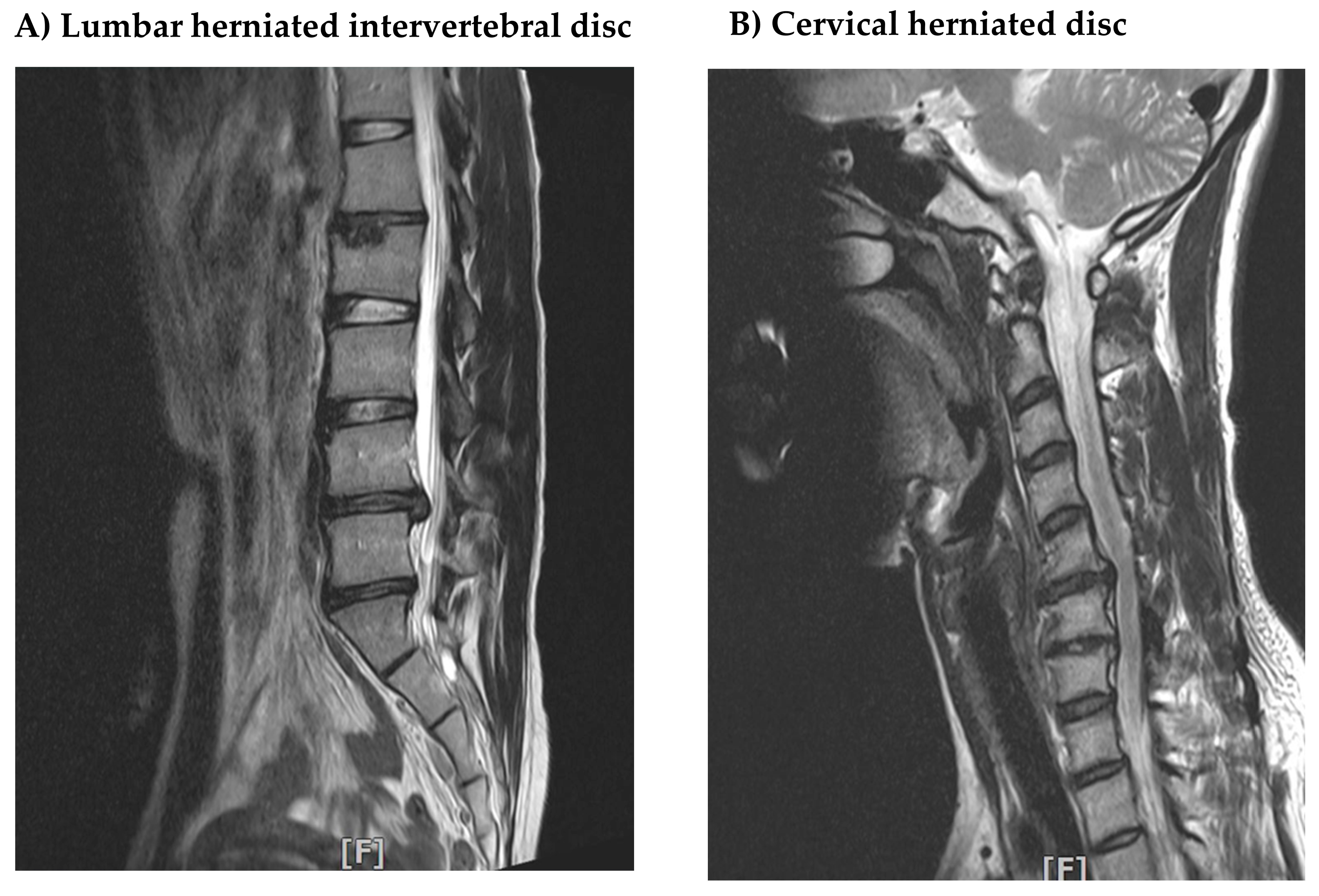 Applsci 14 07250 g004
