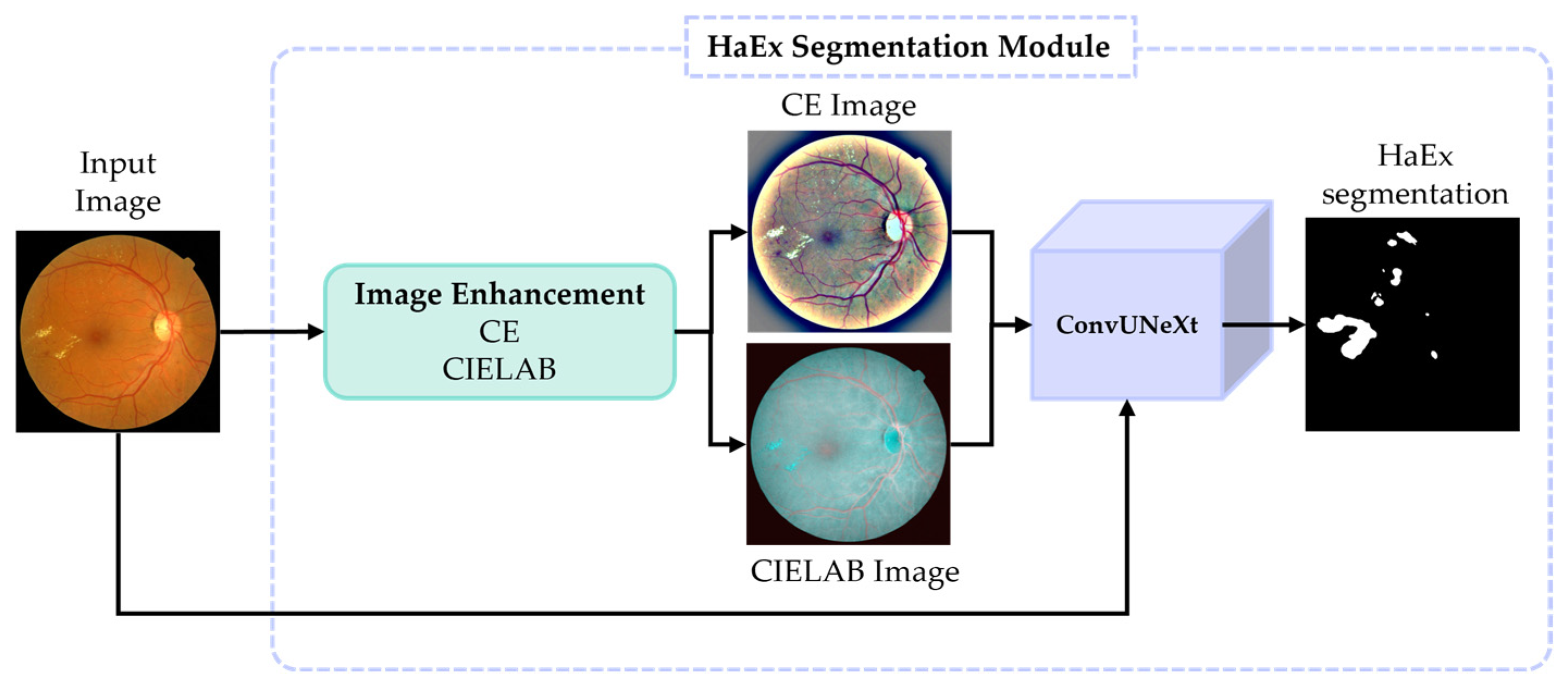 Applsci 14 07262 g002