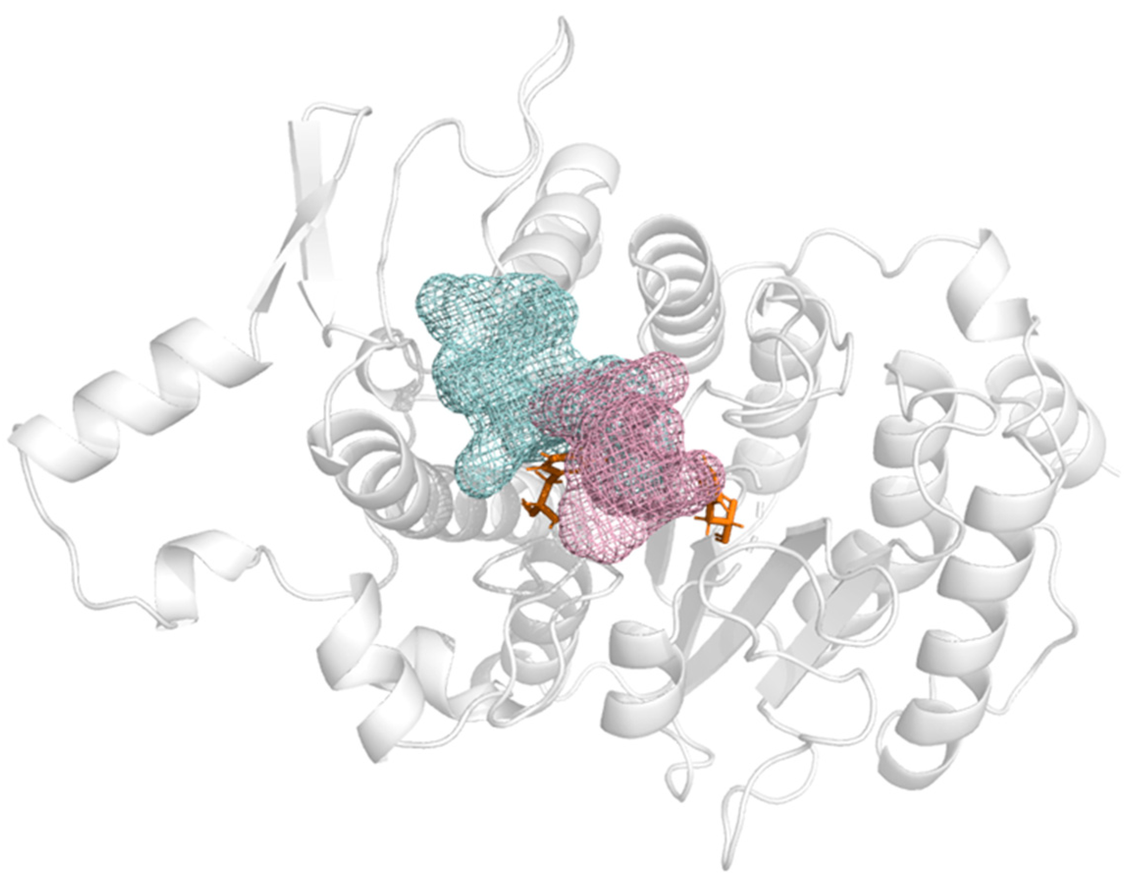 Applsci 14 07263 g004