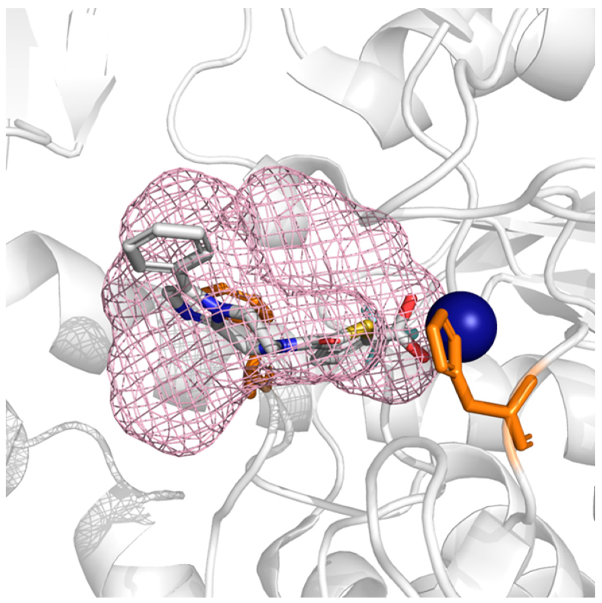 Applsci 14 07263 g005