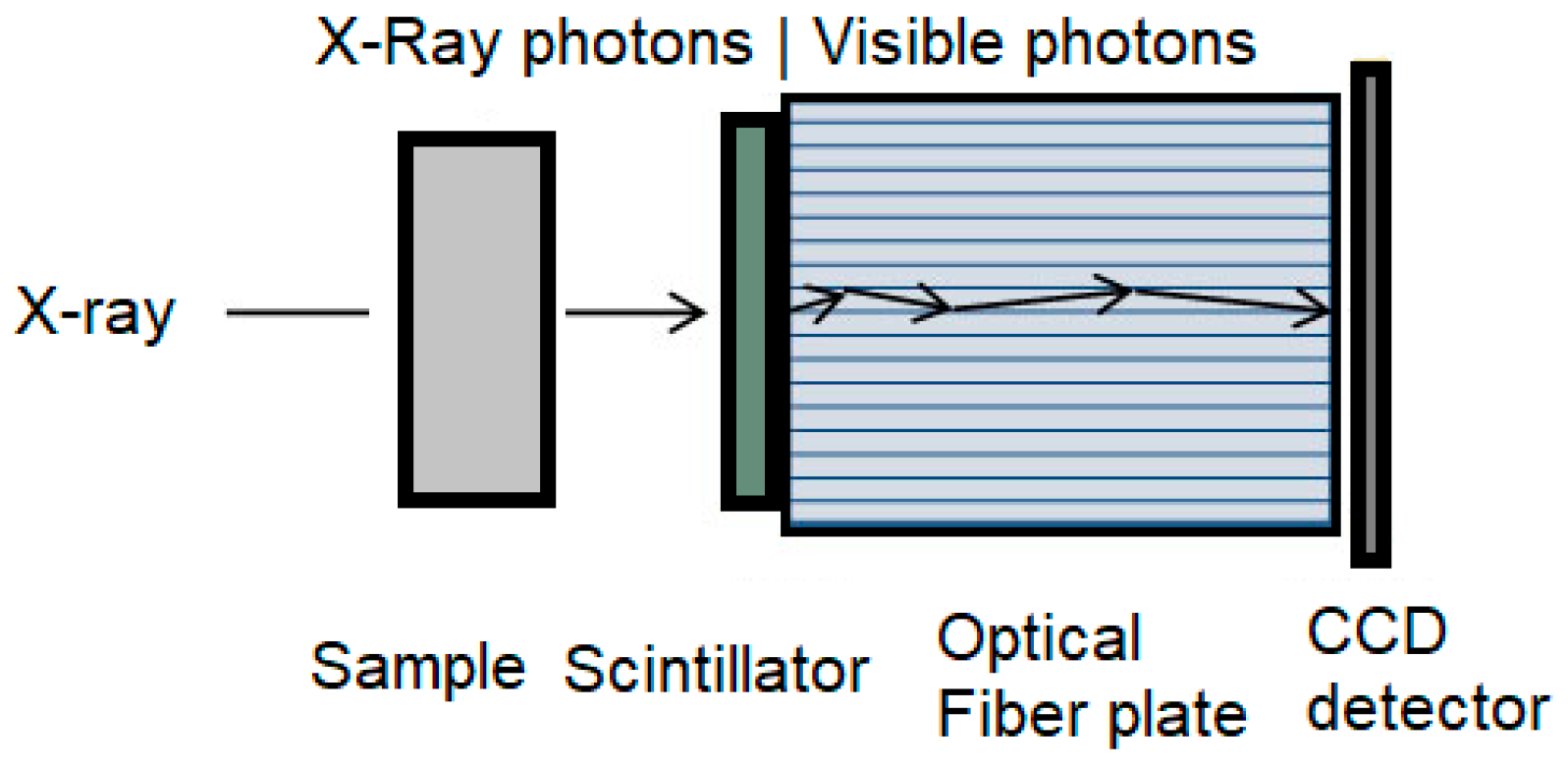 Applsci 14 07292 g001