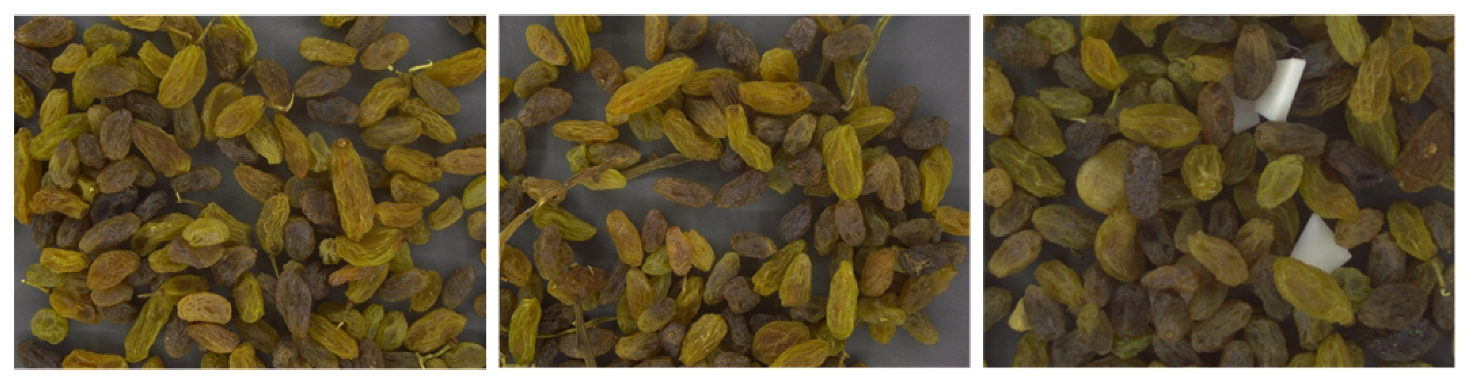 Applsci 14 07295 g002