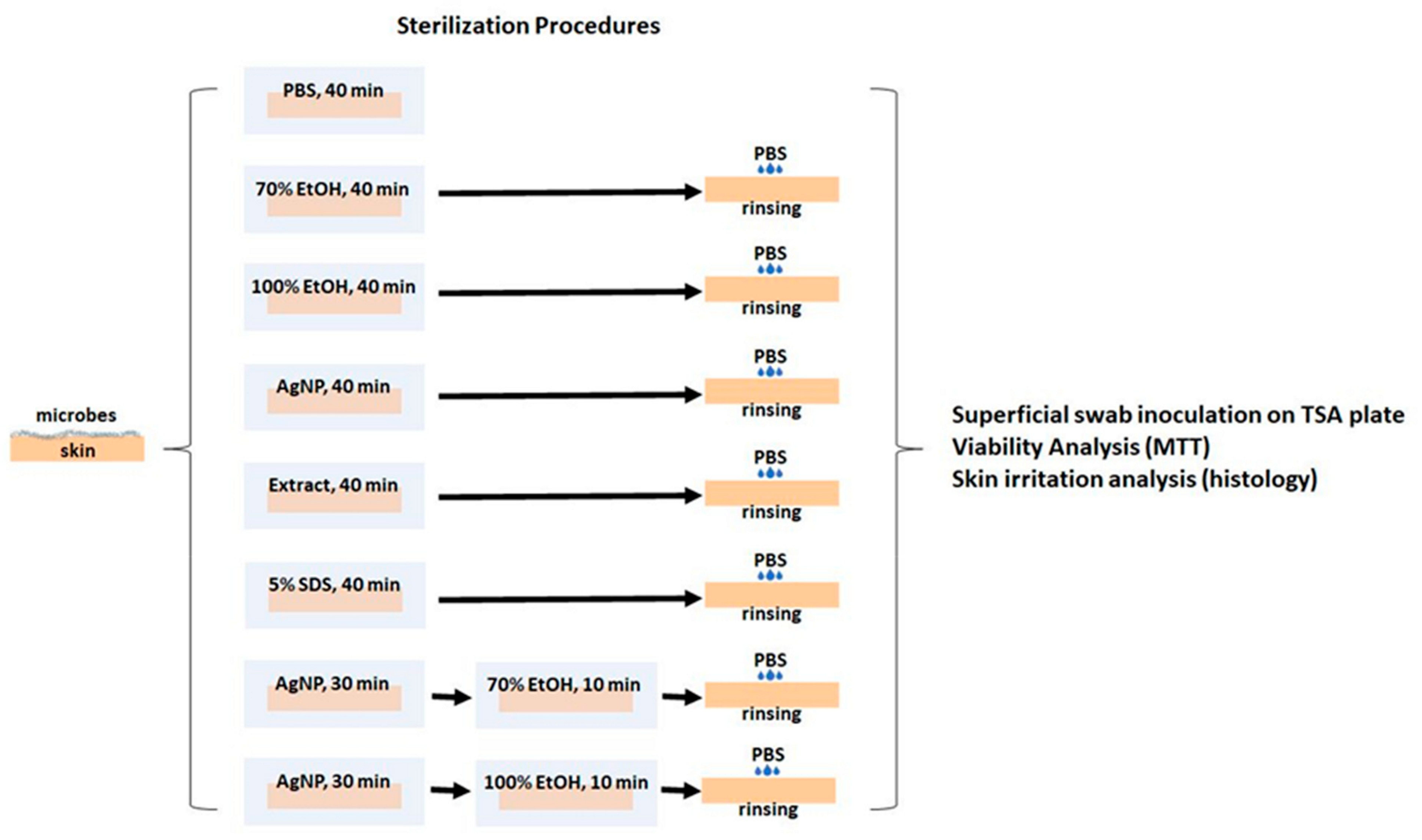 Applsci 14 07309 g002