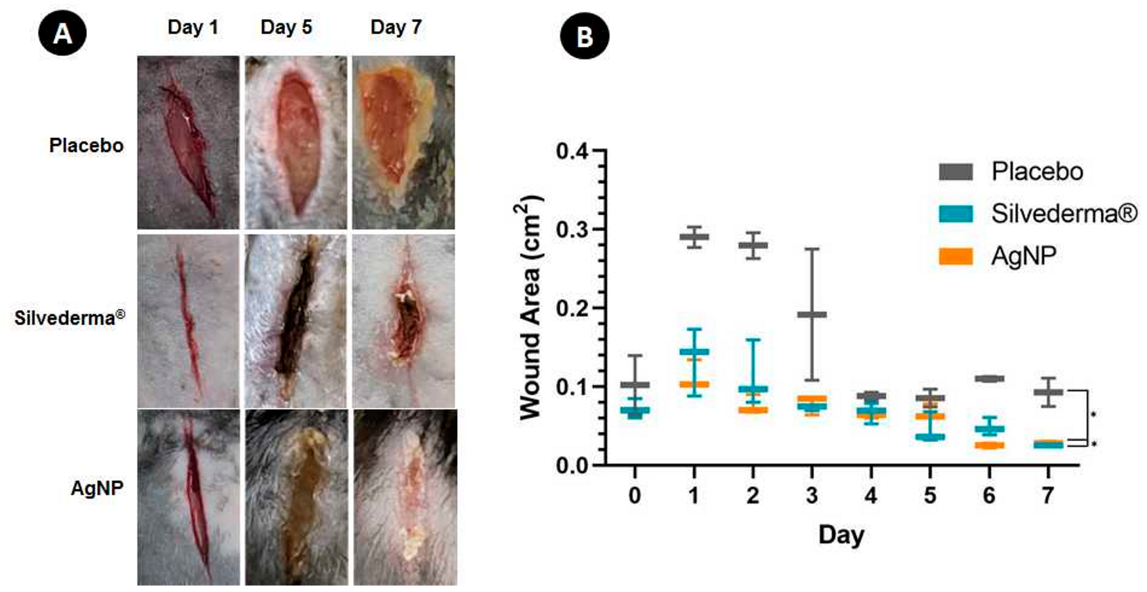 Applsci 14 07309 g009