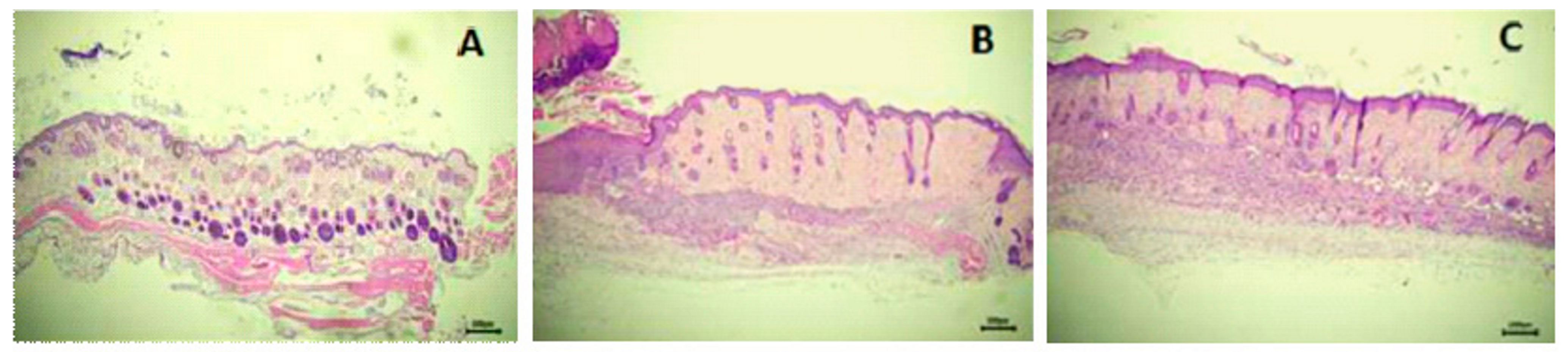 Applsci 14 07309 g010