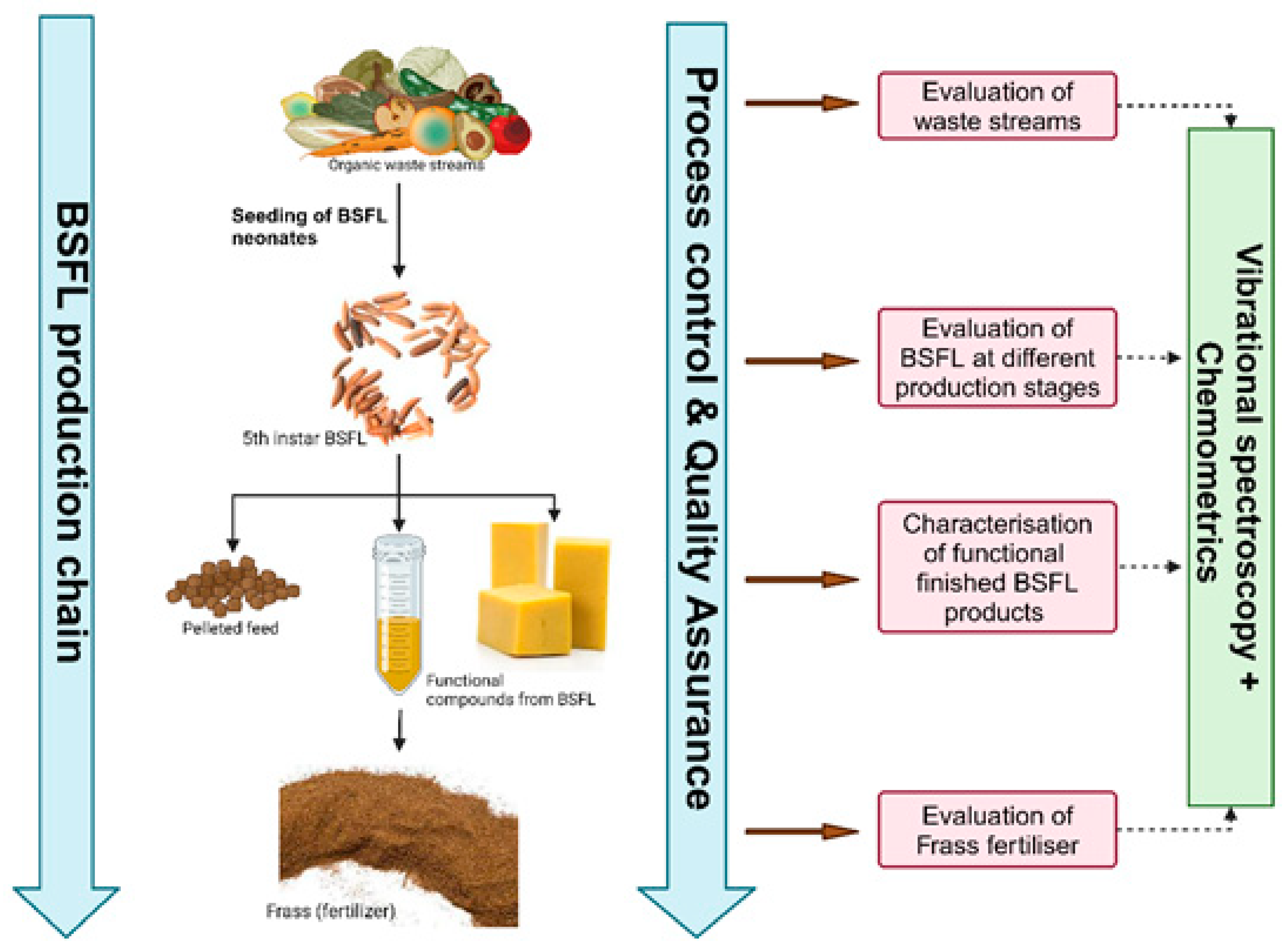 Applsci 14 07318 g001