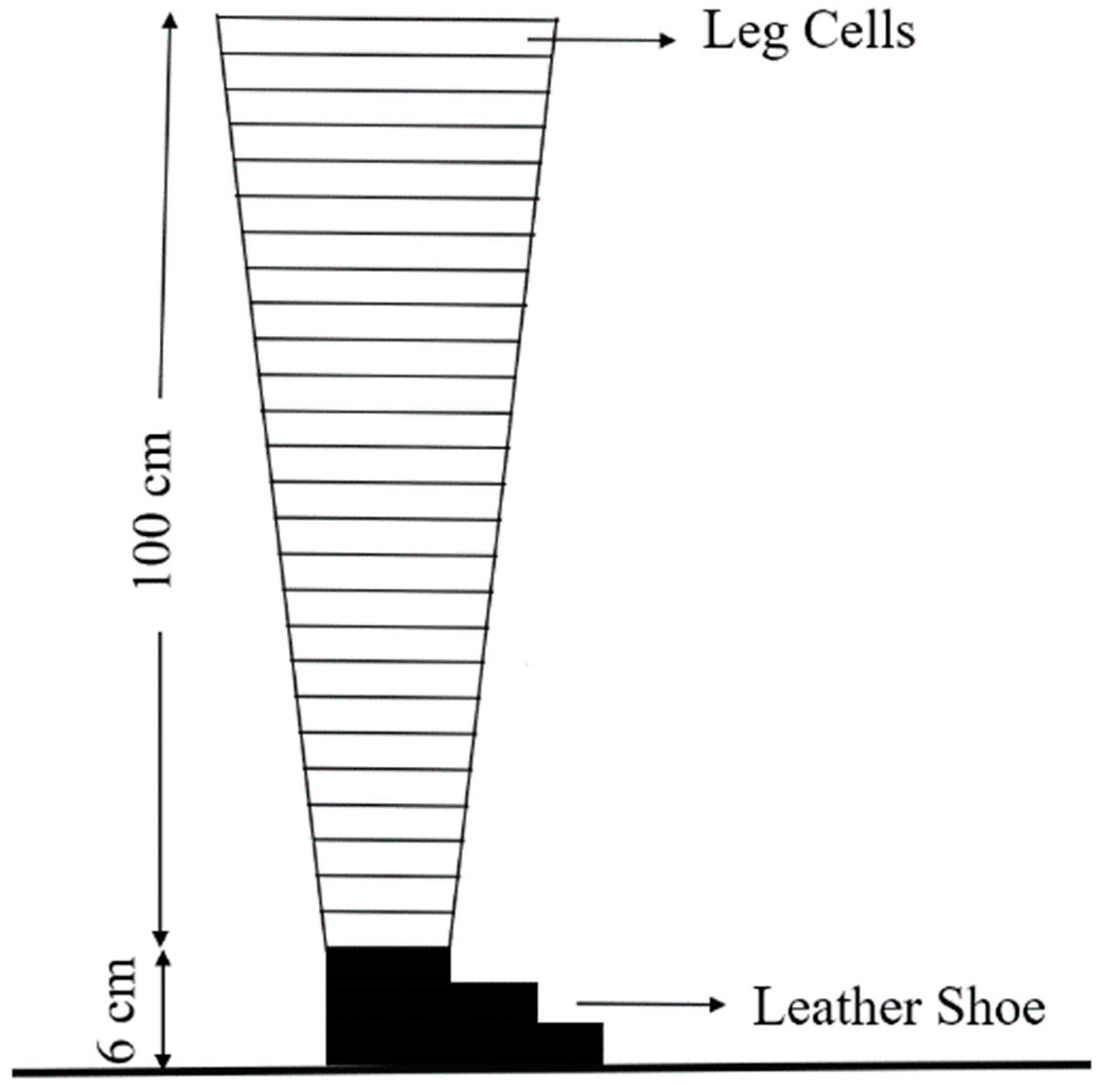 Applsci 14 07363 g002