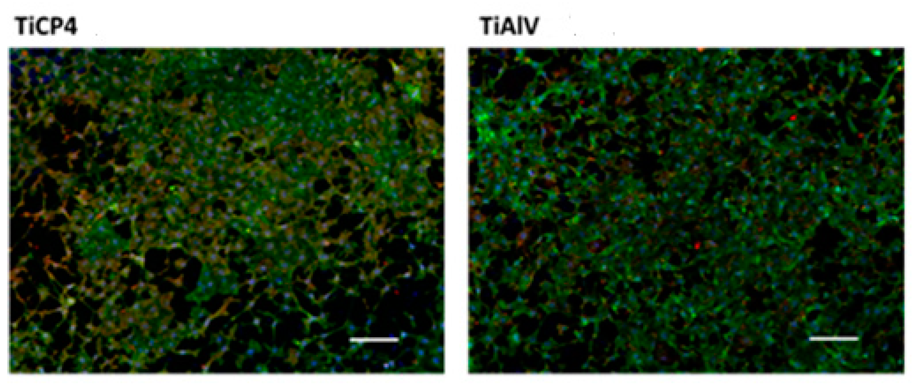 Applsci 14 07365 g011